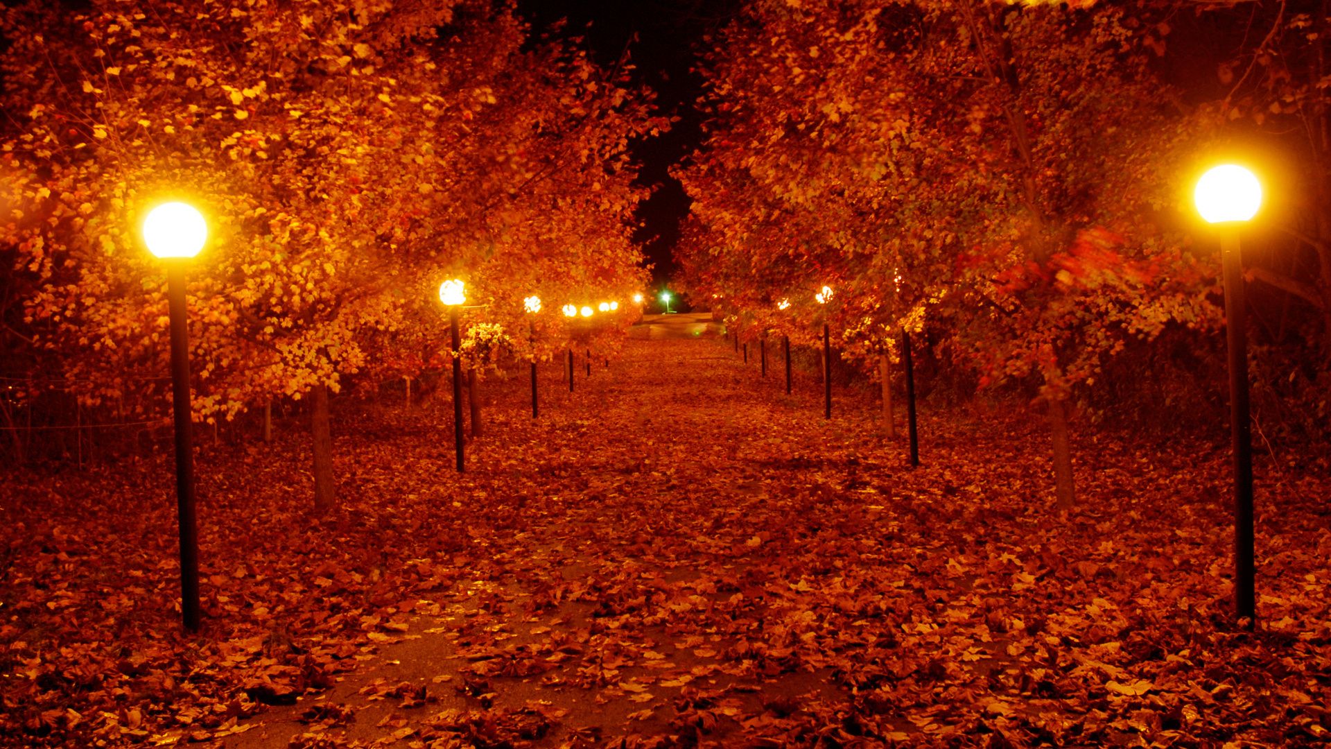Autumn Lights Wallpaper, HD Autumn Lights Background on WallpaperBat