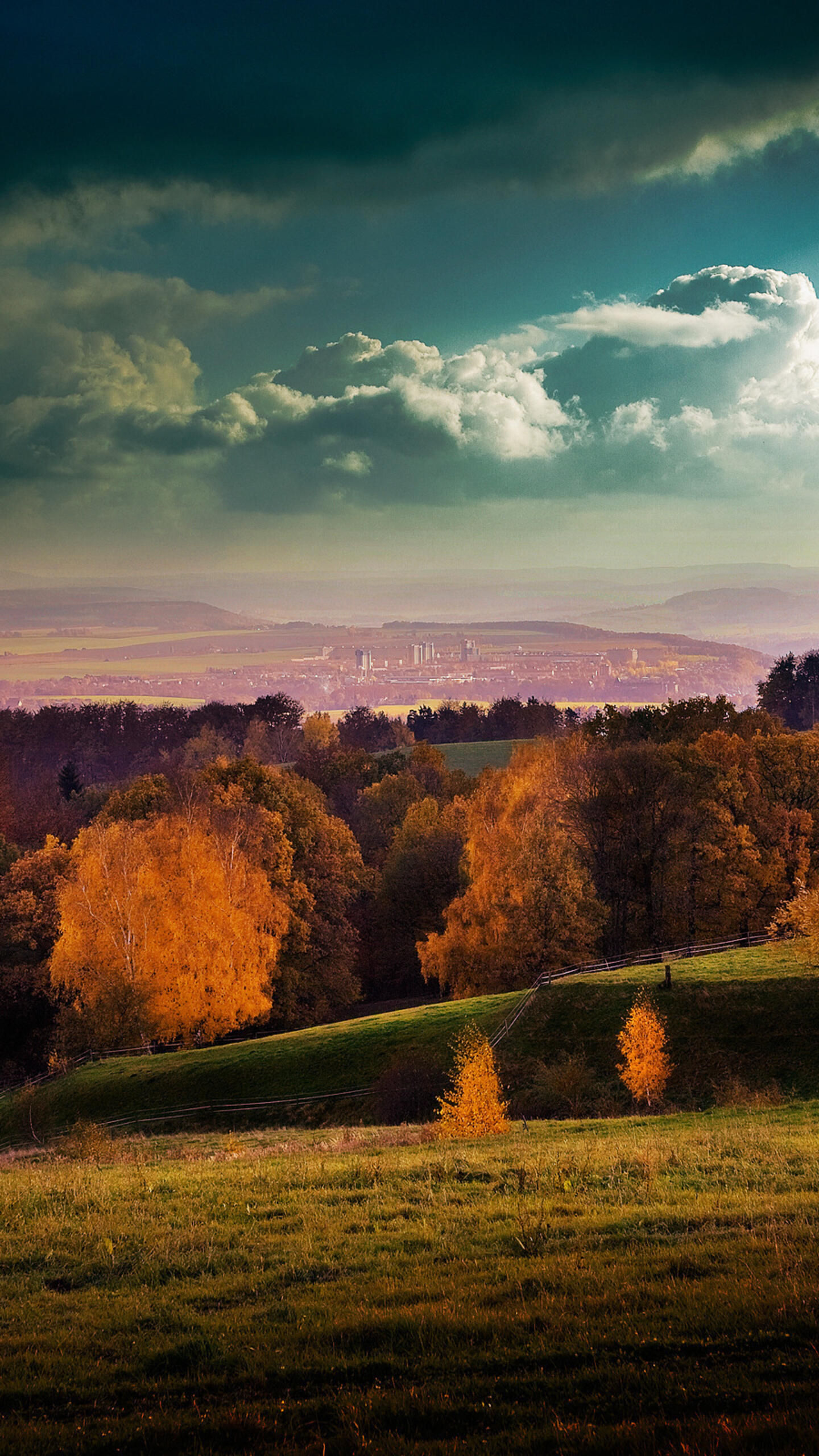 Wallpaper autumn trees grass 1440x2560 QHD from salihychev image and screensavers