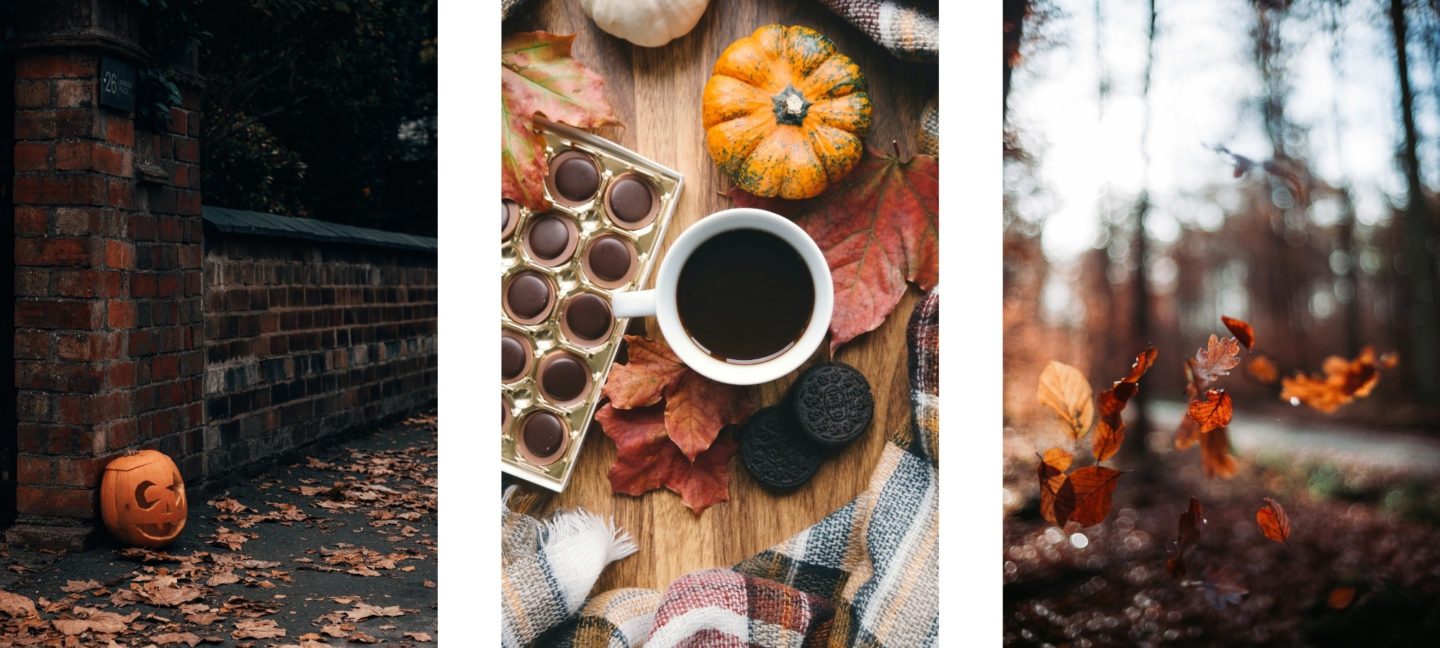 Free HD Fall Wallpaper Background For iPhone of the Snow
