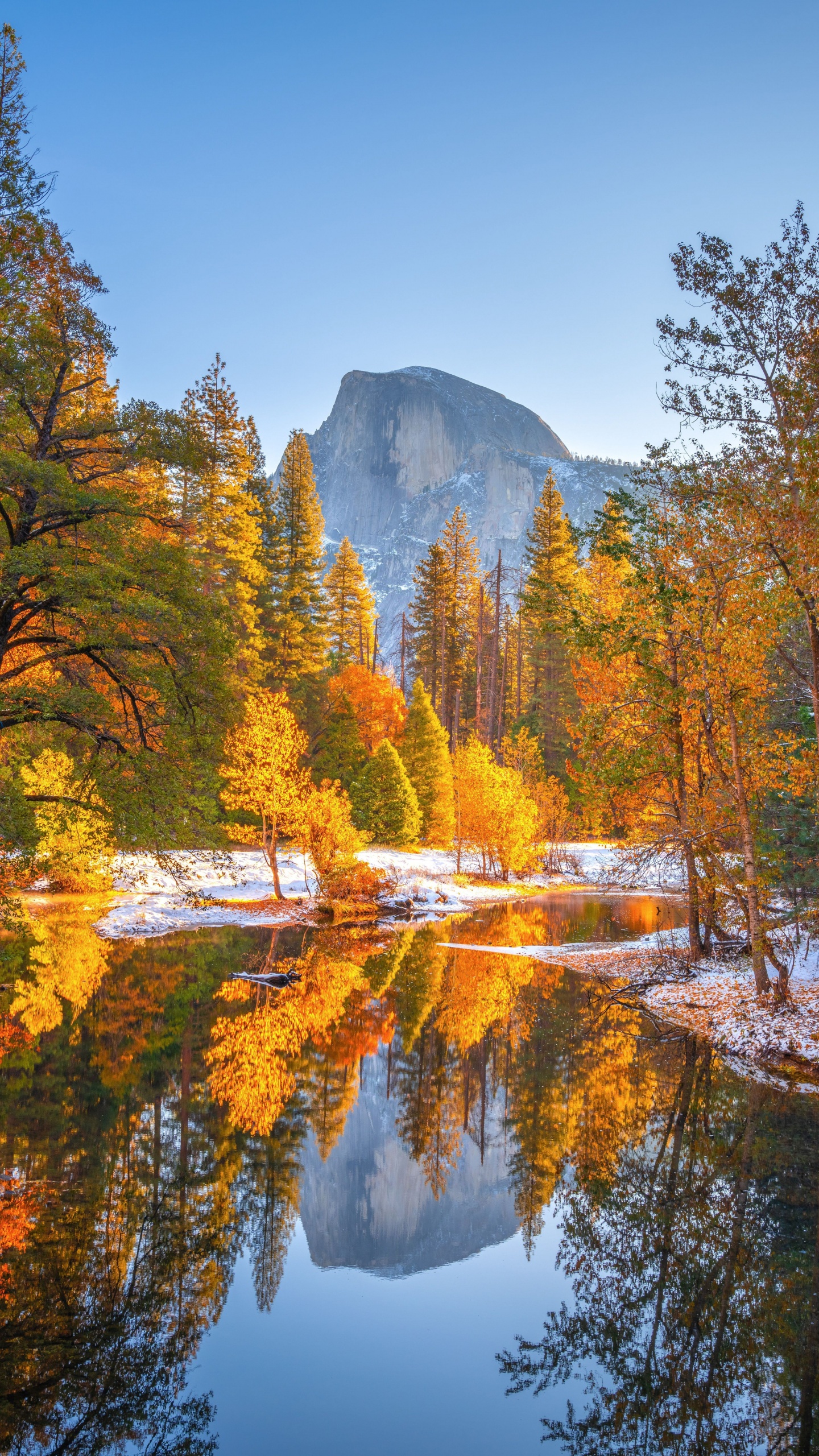 The Transition Between Autumn to Winter 4K UHD Wallpaper for UltraHD Desktop and TV, Widescreen and UltraWide Display, Smartphone and Tablet Devices