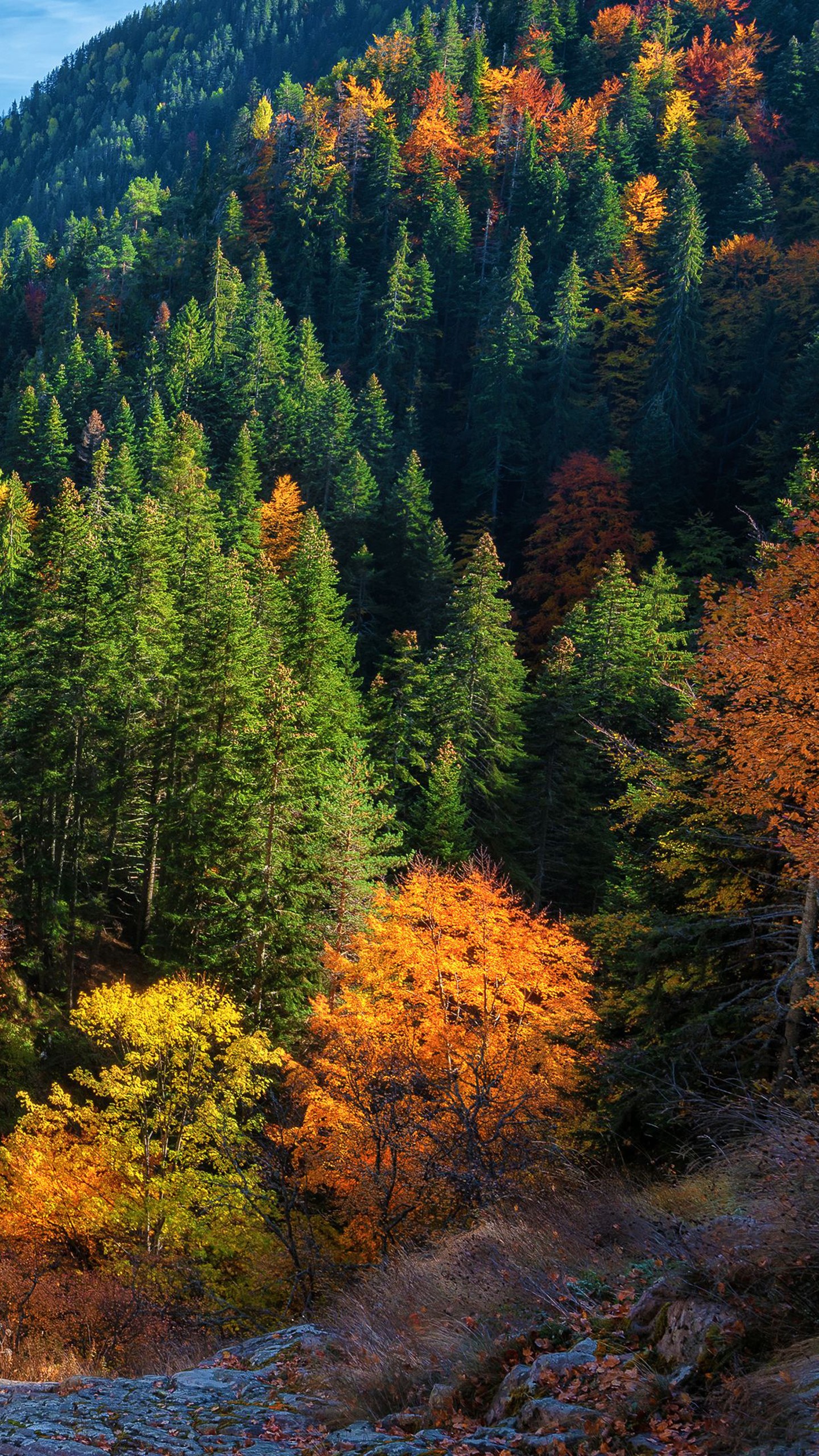 Beautiful Water Stream Green Orange Yellow Fall Autumn Trees Mountains Blue Sky Background 4K HD Fall Wallpaper