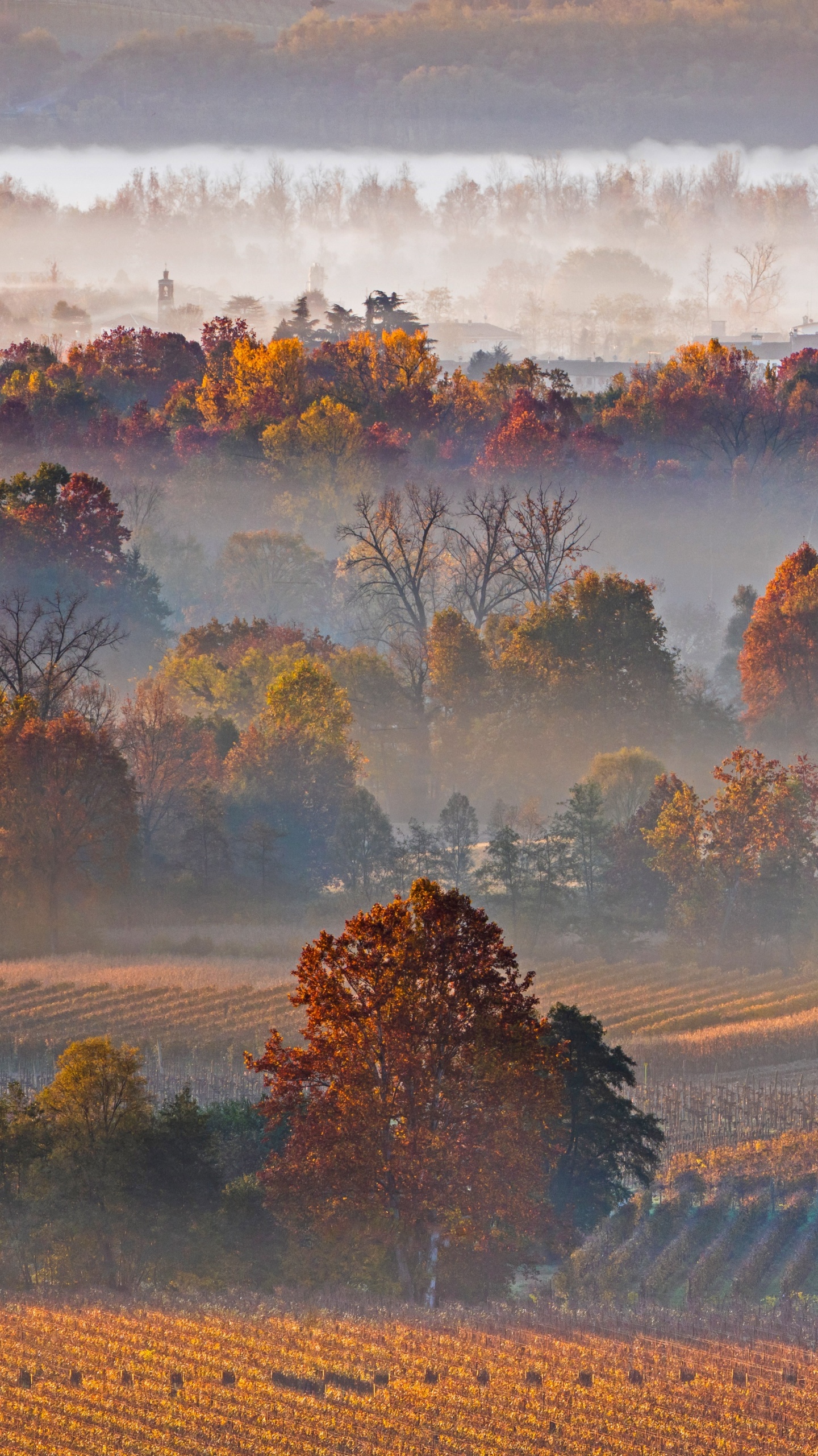 Autumn Landscape, Mist, Vineyards, Trees, Village 4K UHD Wallpaper for UltraHD Desktop and TV, Widescreen and UltraWide Display, Smartphone and Tablet Devices