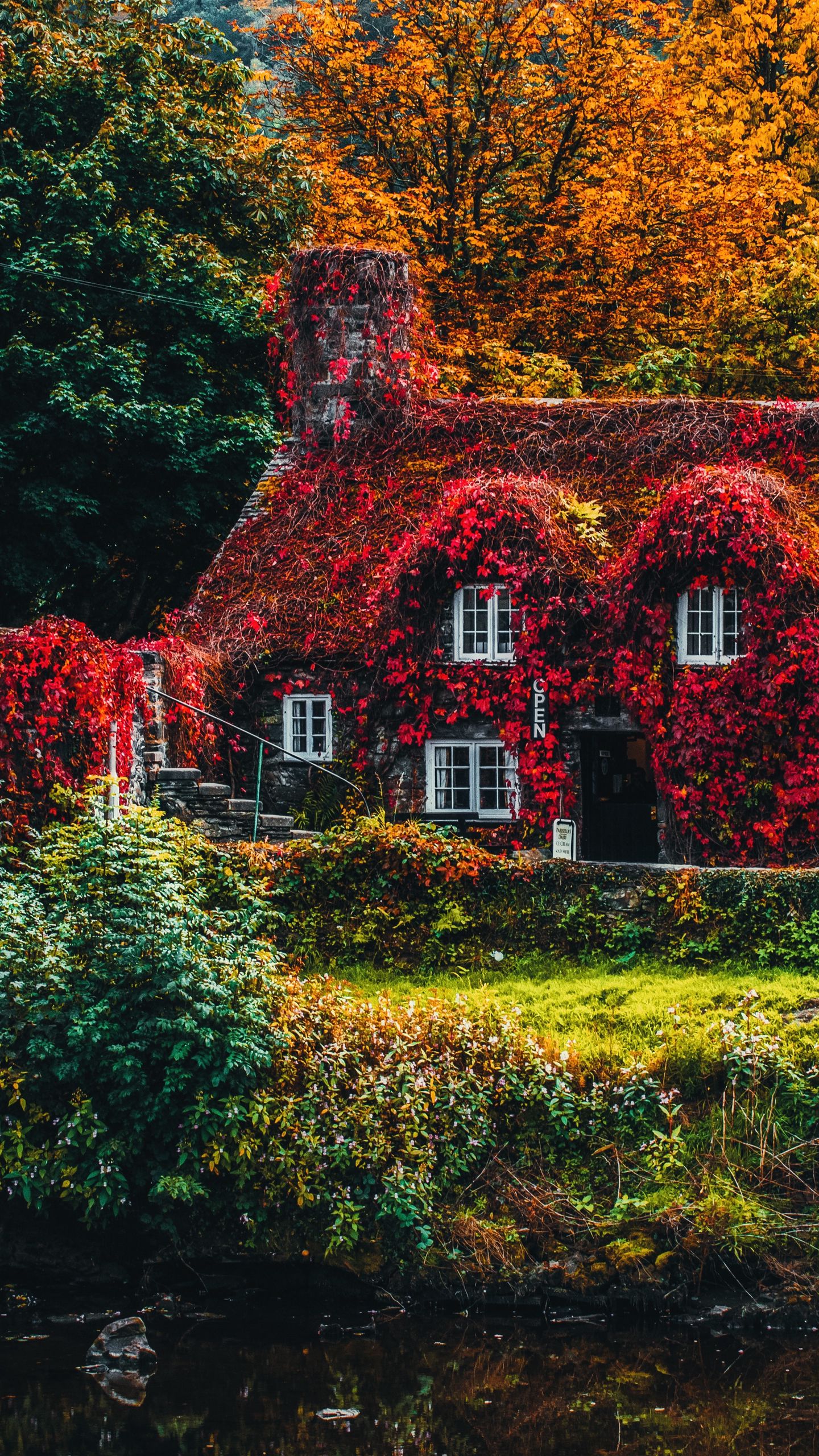 Download wallpaper 1440x2560 house, autumn, river, foliage, autumn colors qhd samsung galaxy s6, s7, edge, note, lg g4 HD background