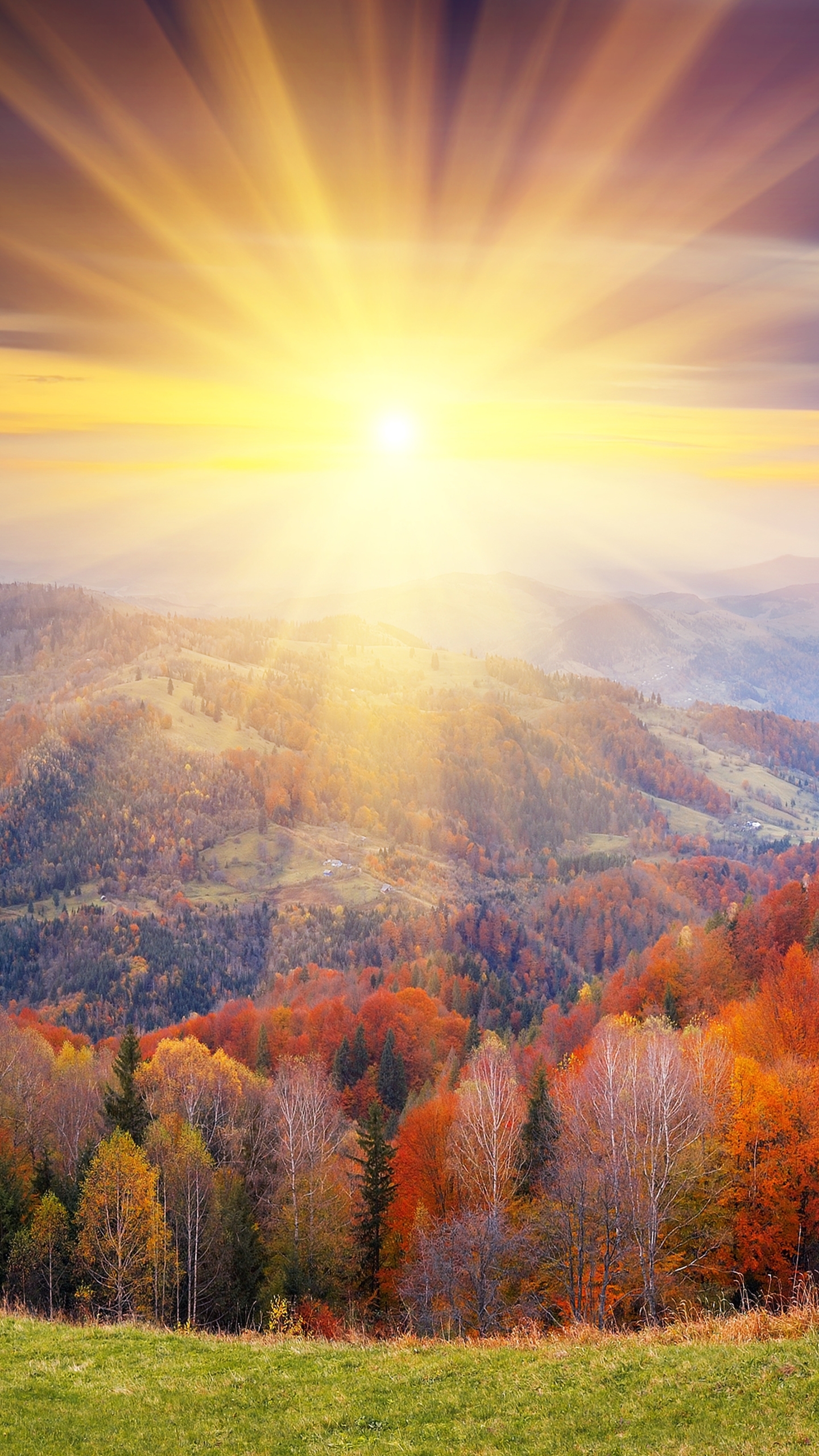 Phone wallpaper: Earth, Fall, Sunrise, Sunshine, Forest, Scenic, Mountain, Landscape 1247626