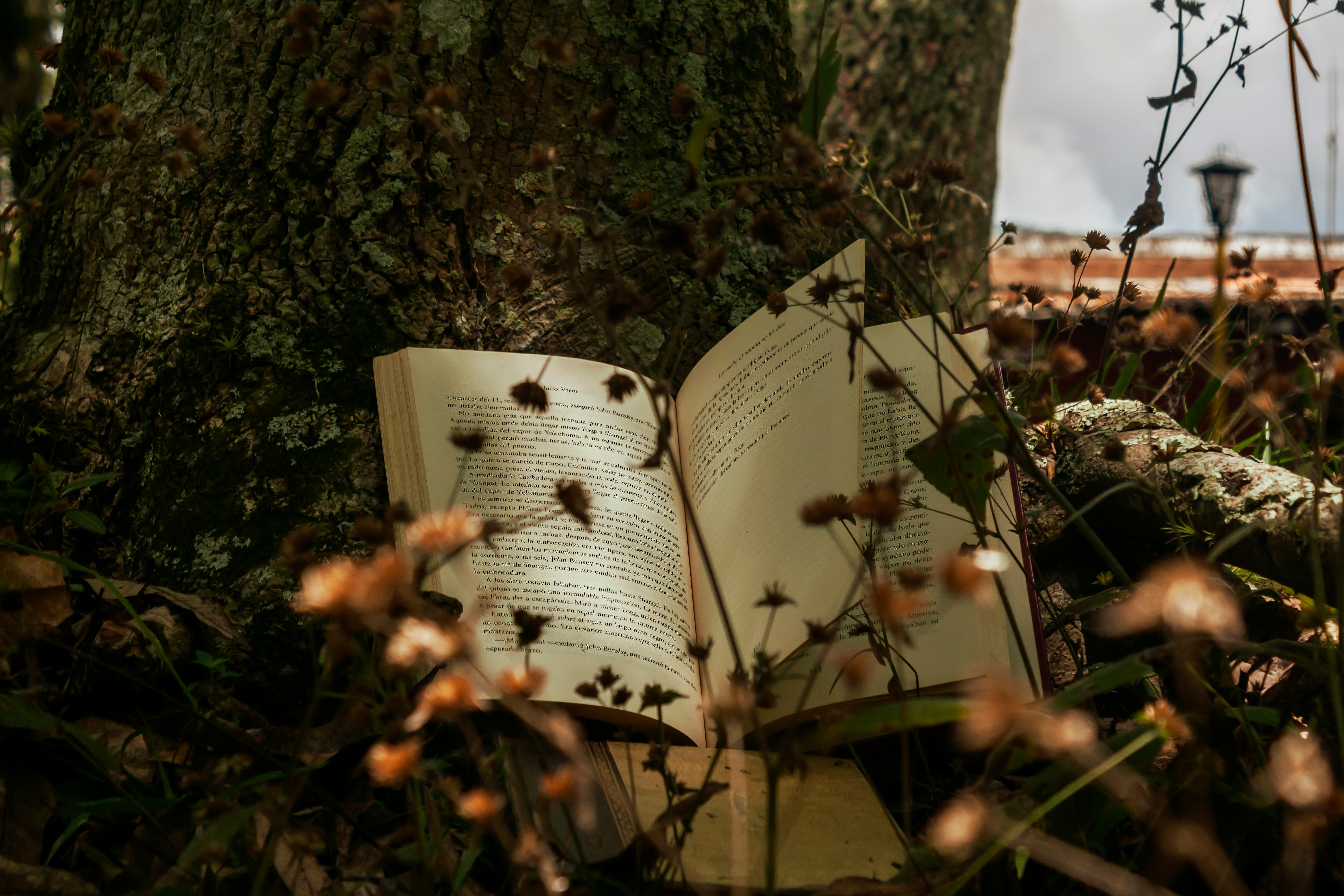 Book Between Autumn Plants · Free