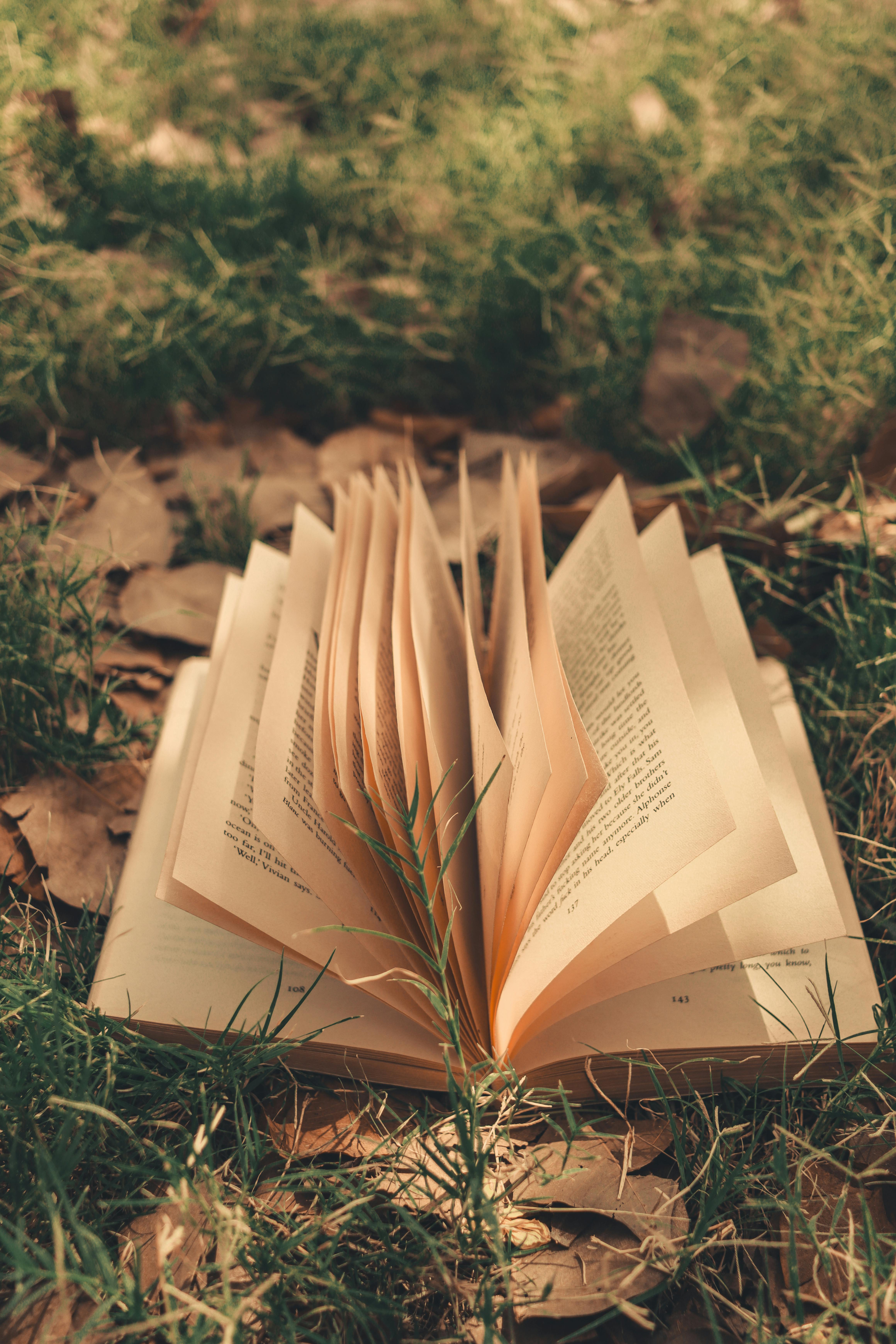 Open Book Amidst Autumn Leaves in Forest Setting · Free