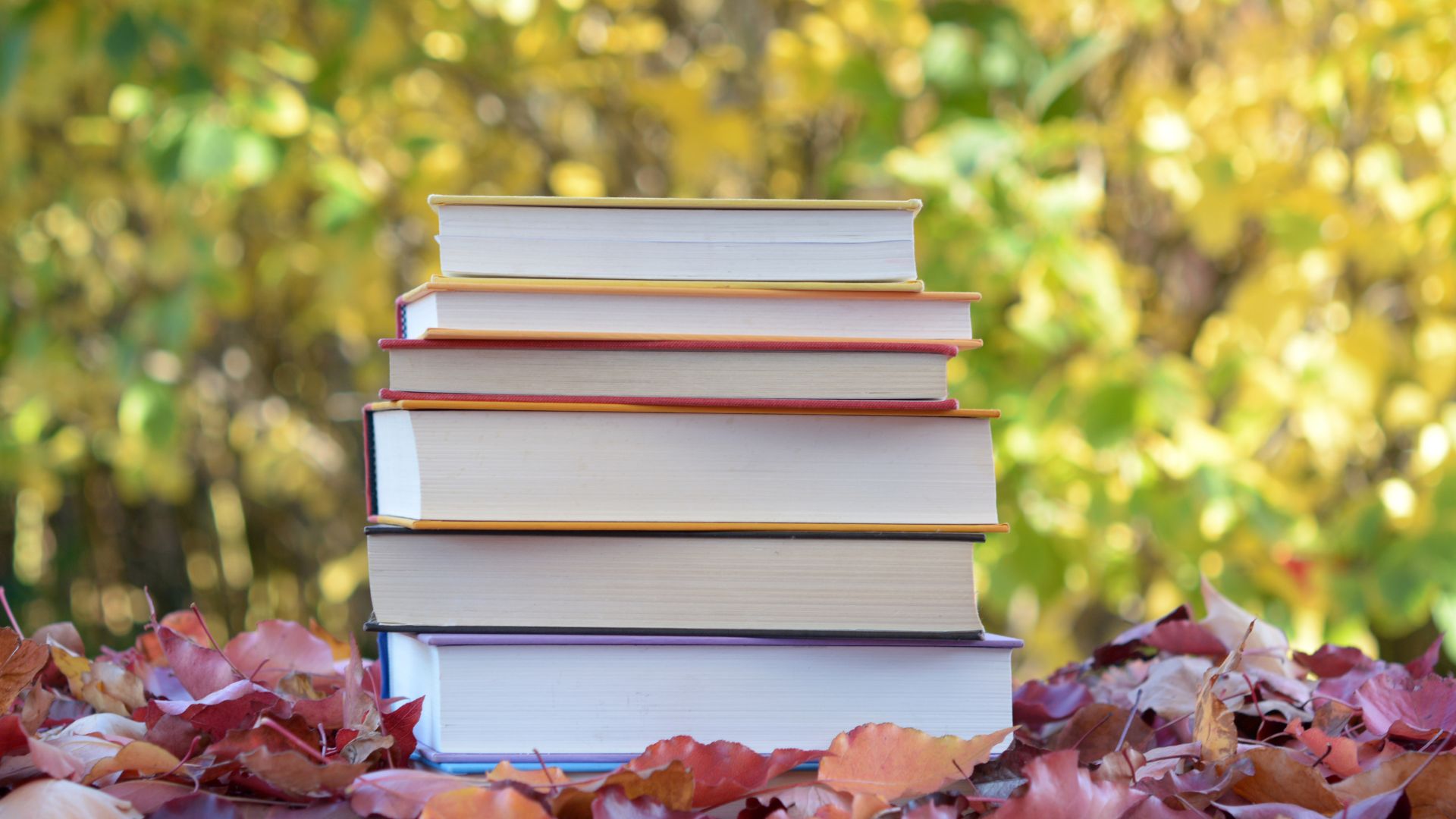 Appreciate Autumn by Reading in these Special, Cozy Nooks!