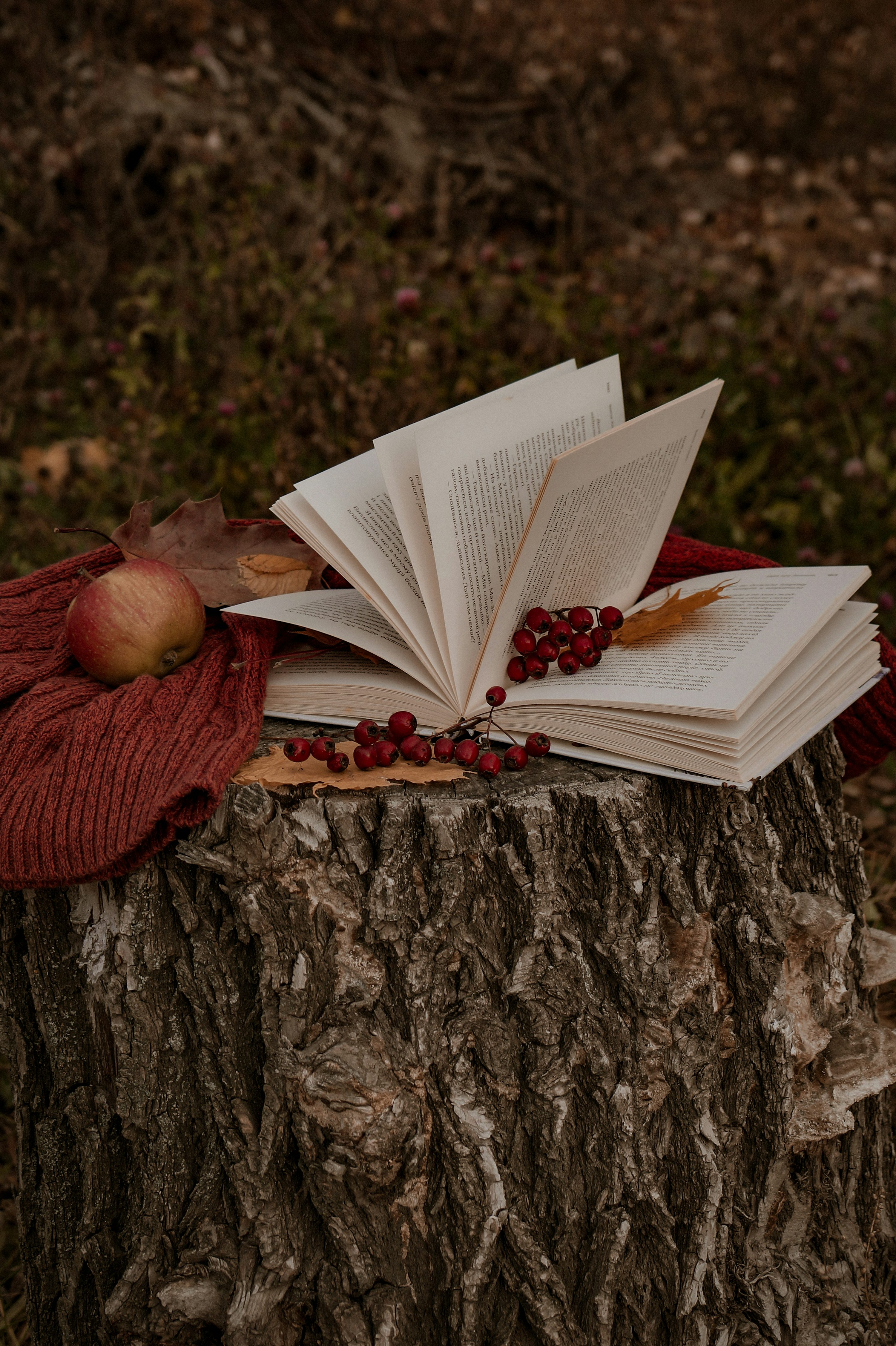 An open book on a tree stump with a red scarf on top of it photo