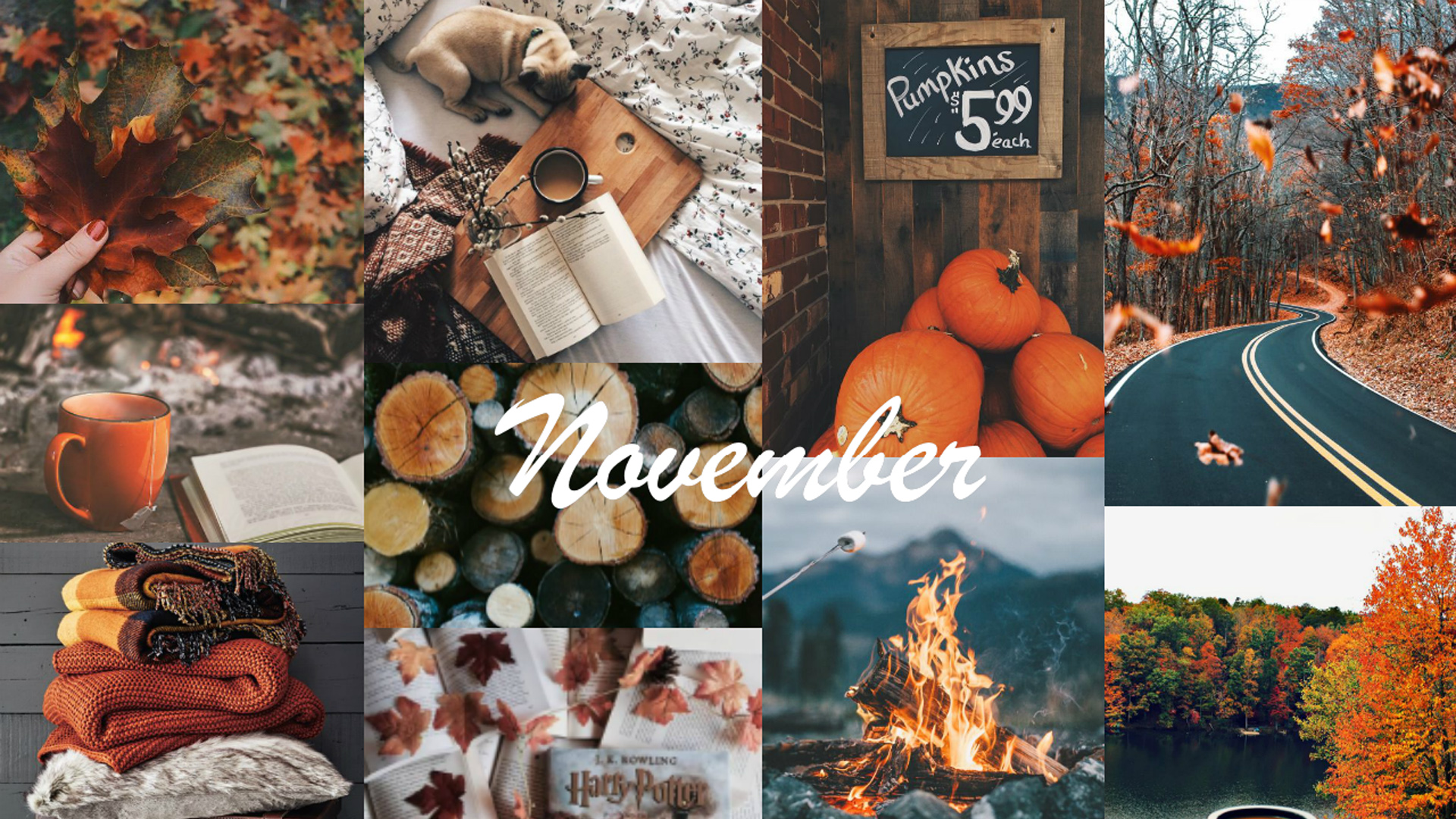 Wood Logs Pumpkins Colorful Autumn Leaves Trees Books Texture Fire HD Fall Collage Wallpaper