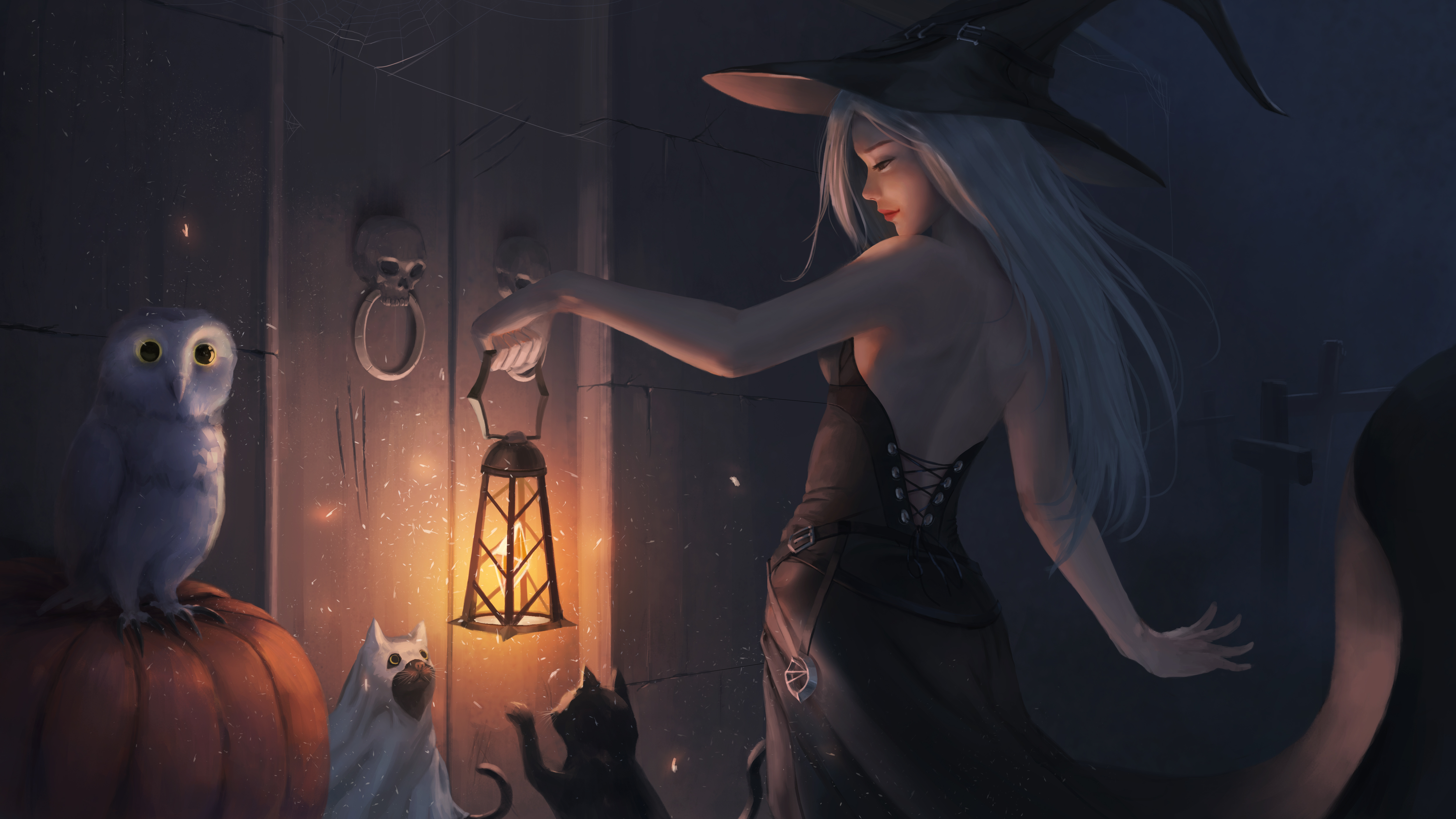 Download Pumpkin Lantern Cat Owl Black Dress Fantasy Witch 4k Ultra HD Wallpaper