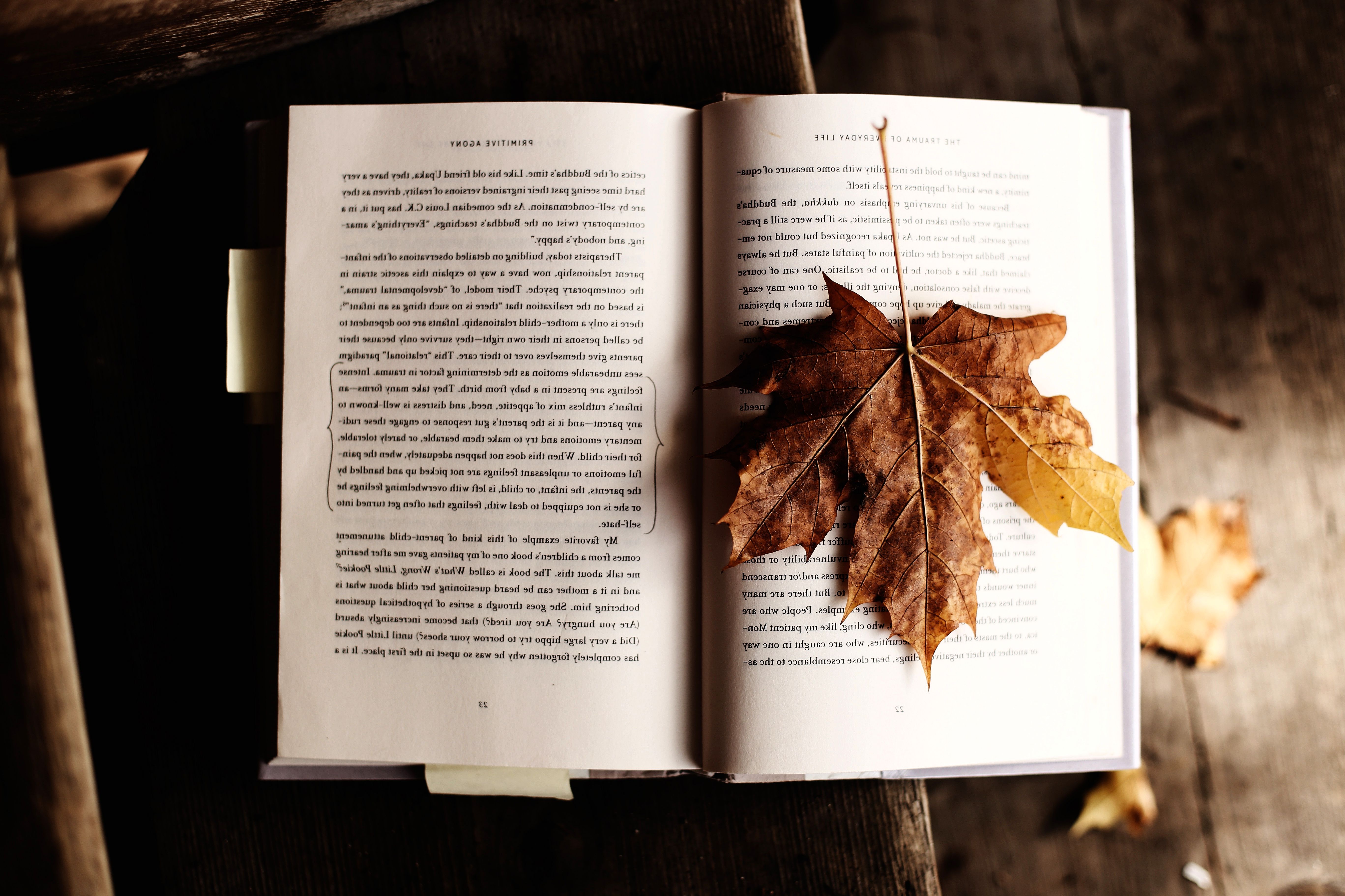 Free Image, leaf, text, book, tree, font, plant, plane, publication, twig, paper 5472x3648
