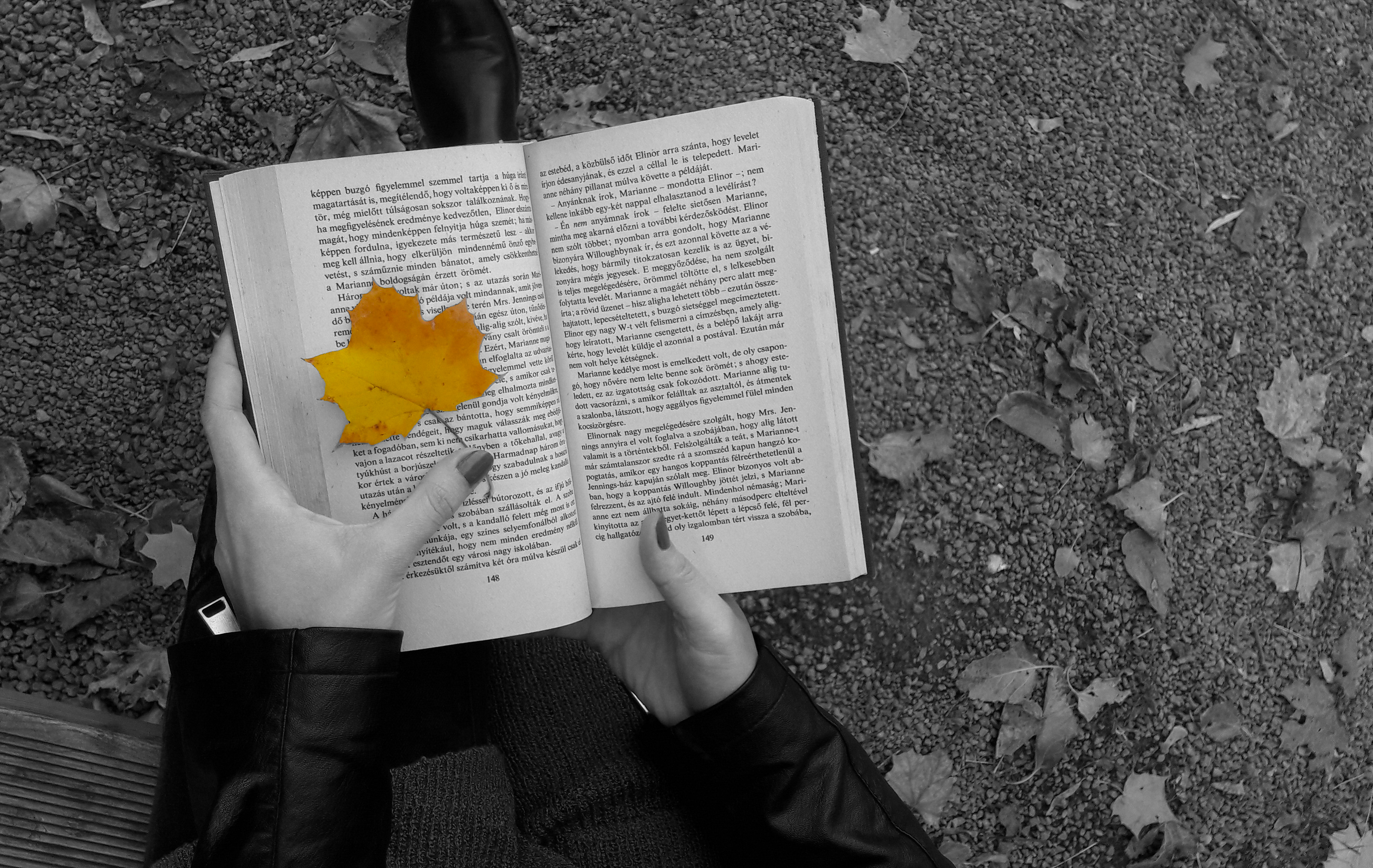 Free Image, read, leaf, fall, autumn, reading, girl, park, lonely, alone, black and white, monochrome photography, text, tree, hand, font, human behavior 3672x2322