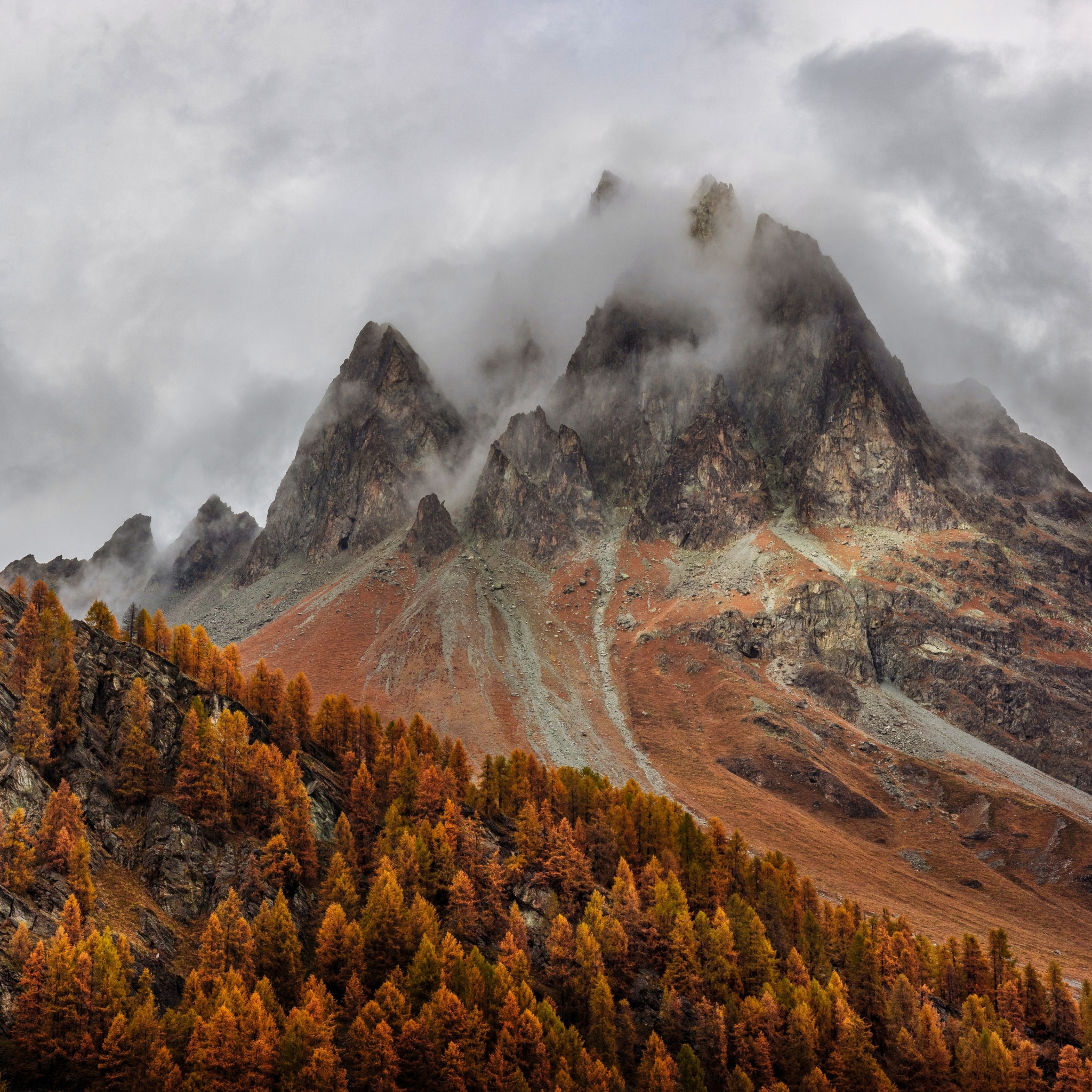 Mountains Wallpaper 4K, Forest, Autumn, Foggy, Peak