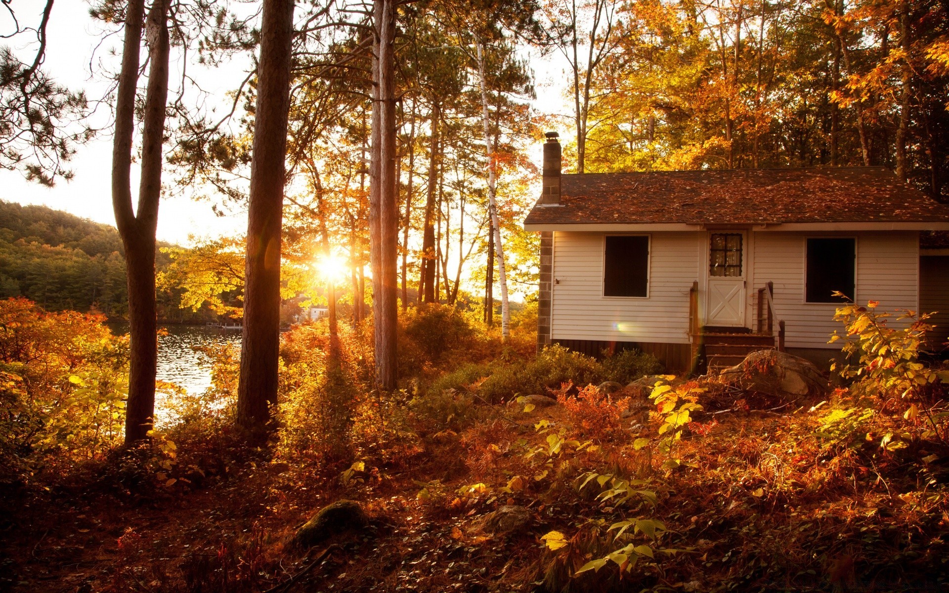 A small house on the shore of the lake