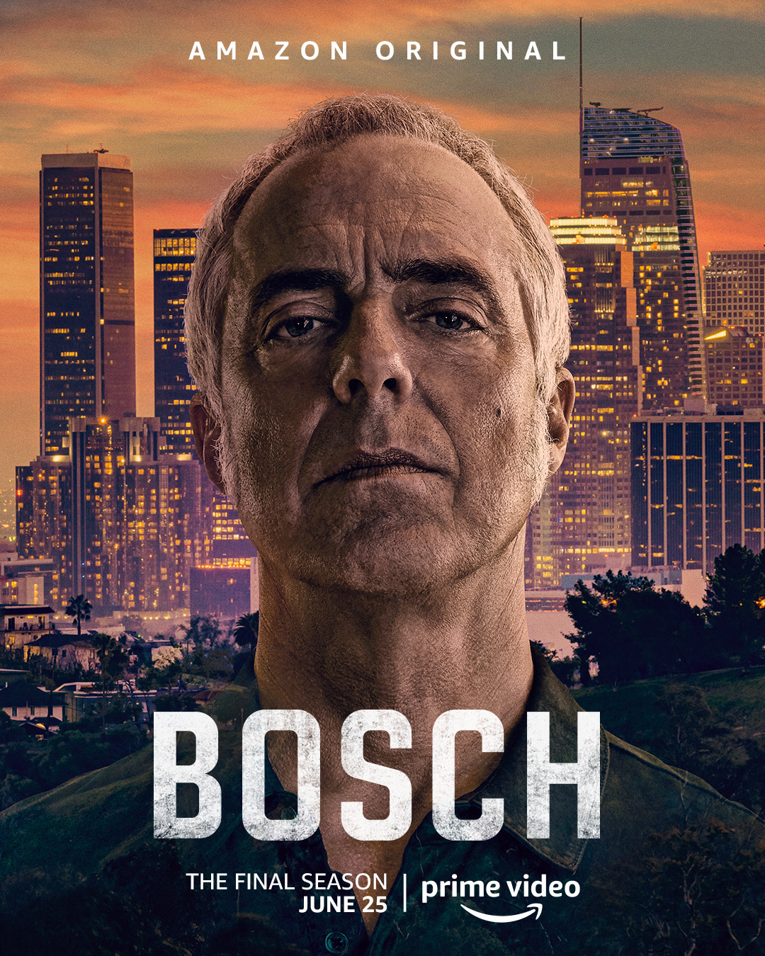 Bosch (TV Series 2014–2021)