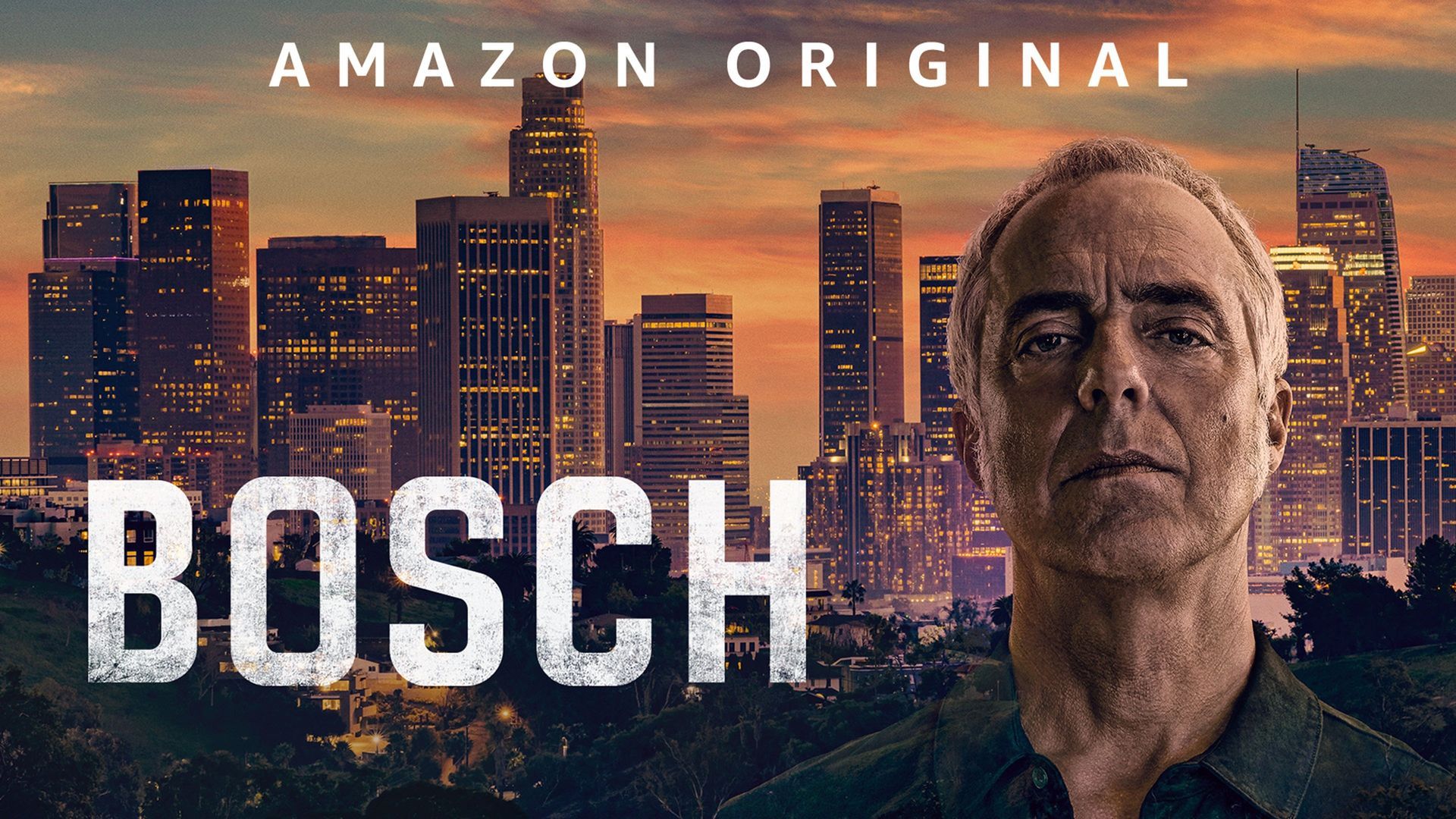 Review of Bosch