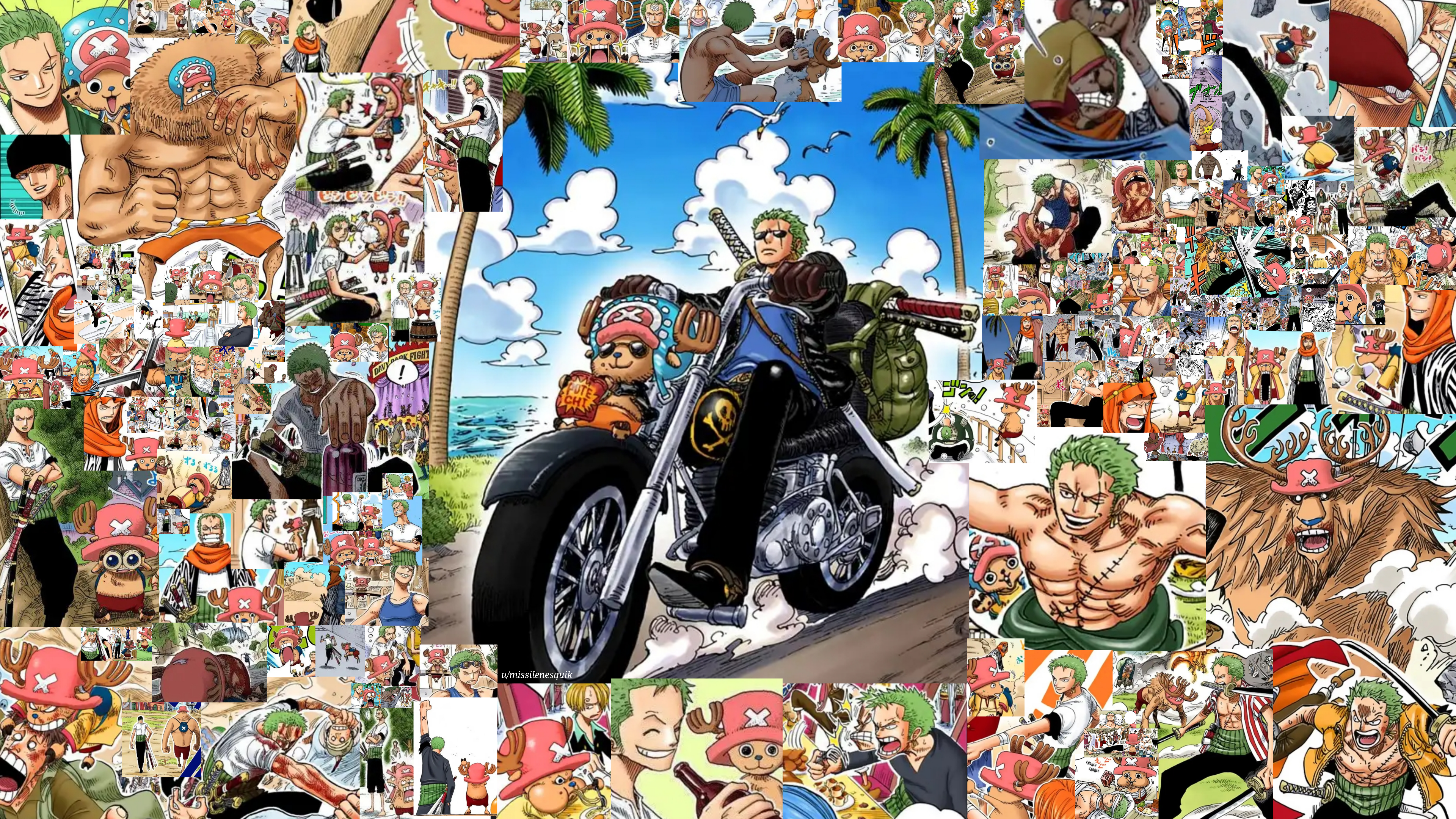 EVERY SINGLE PANEL OF ZORO AND CHOPPER BEING TOGETHER (or interacting with each other) IN ONE PIECE