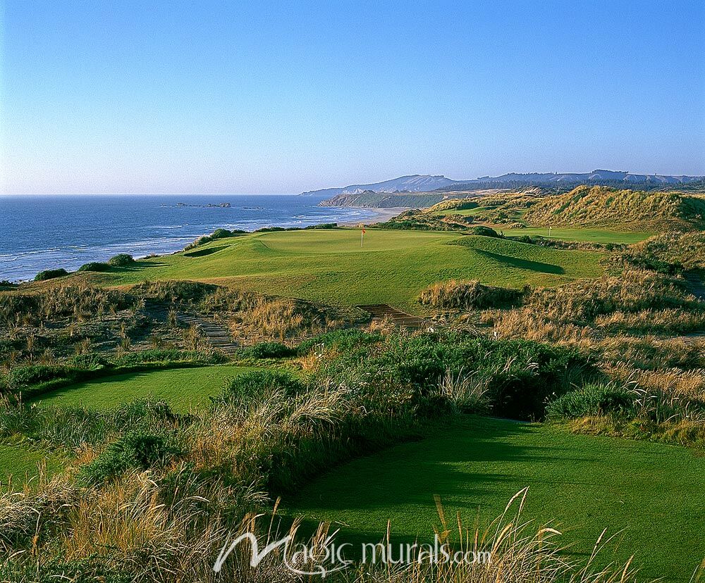Bandon Dunes 6th Hole