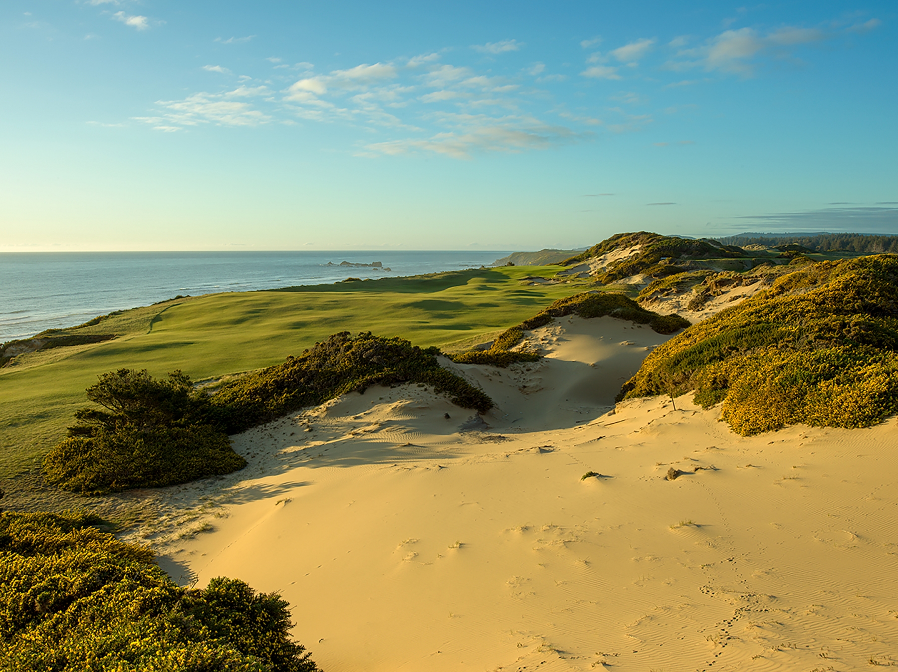 Pacific Dunes Gallery
