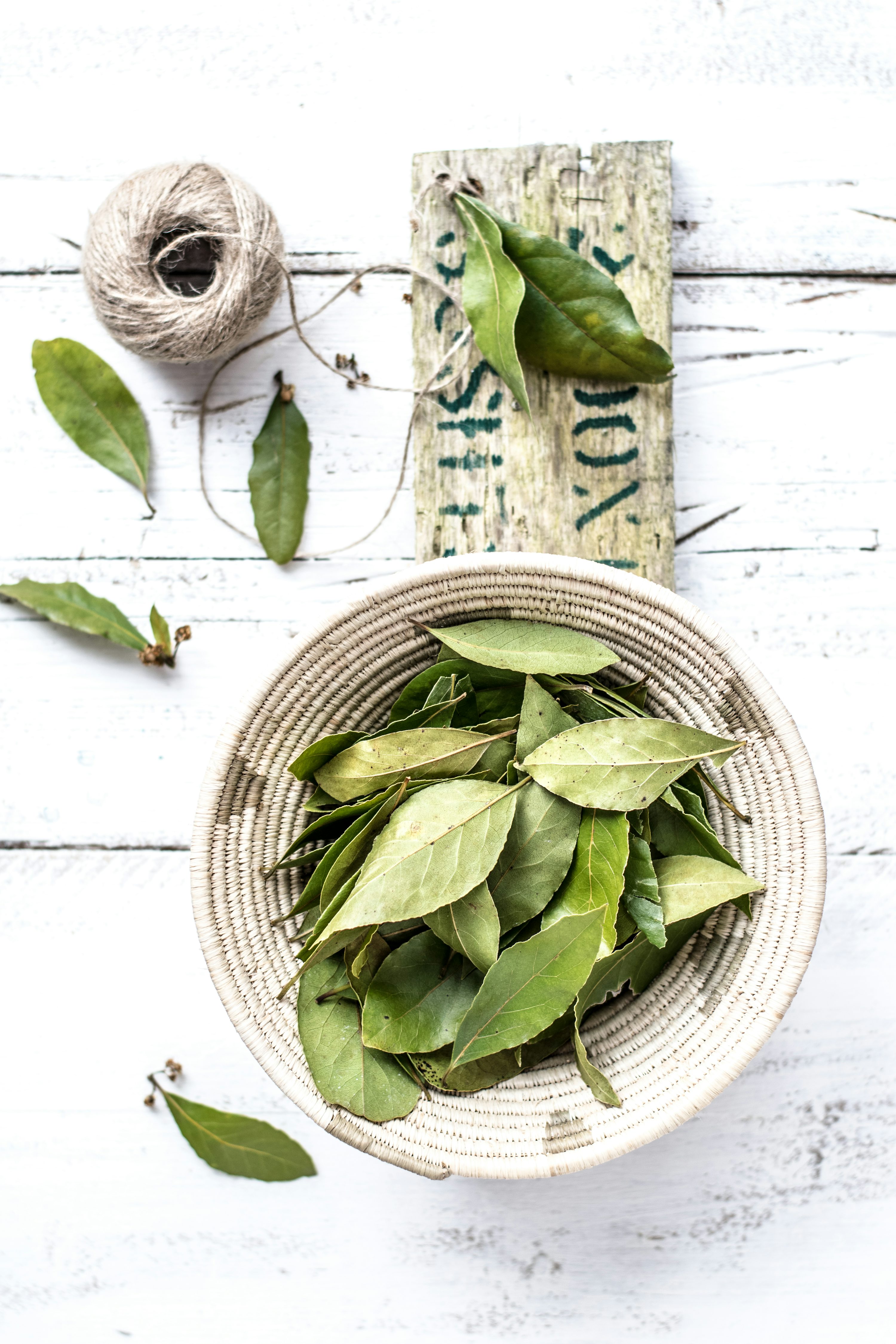 Bay Leaf Picture. Download Free Image