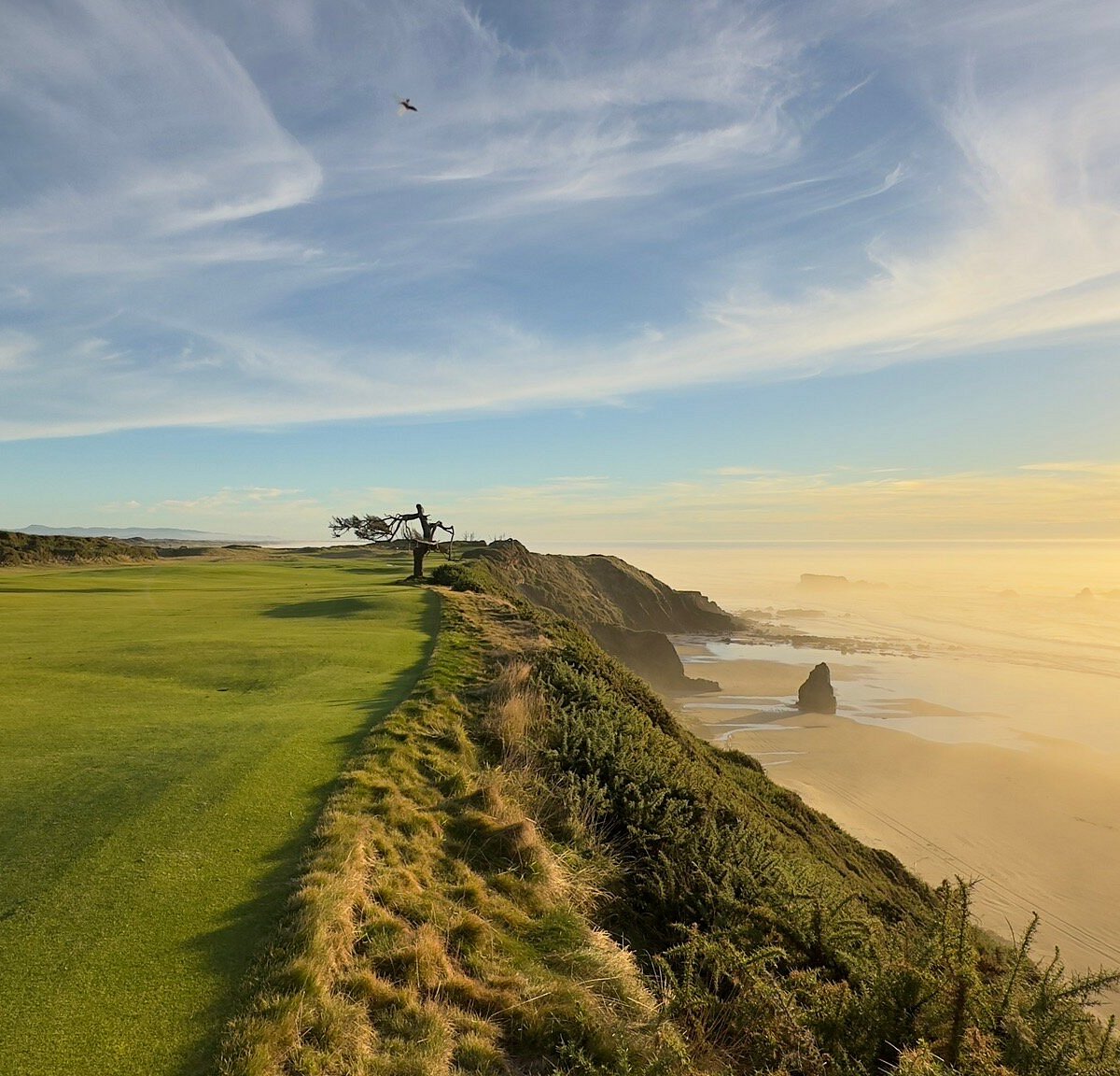 Bandon Dunes Golf Resort You Need to Know BEFORE You Go (with Reviews)