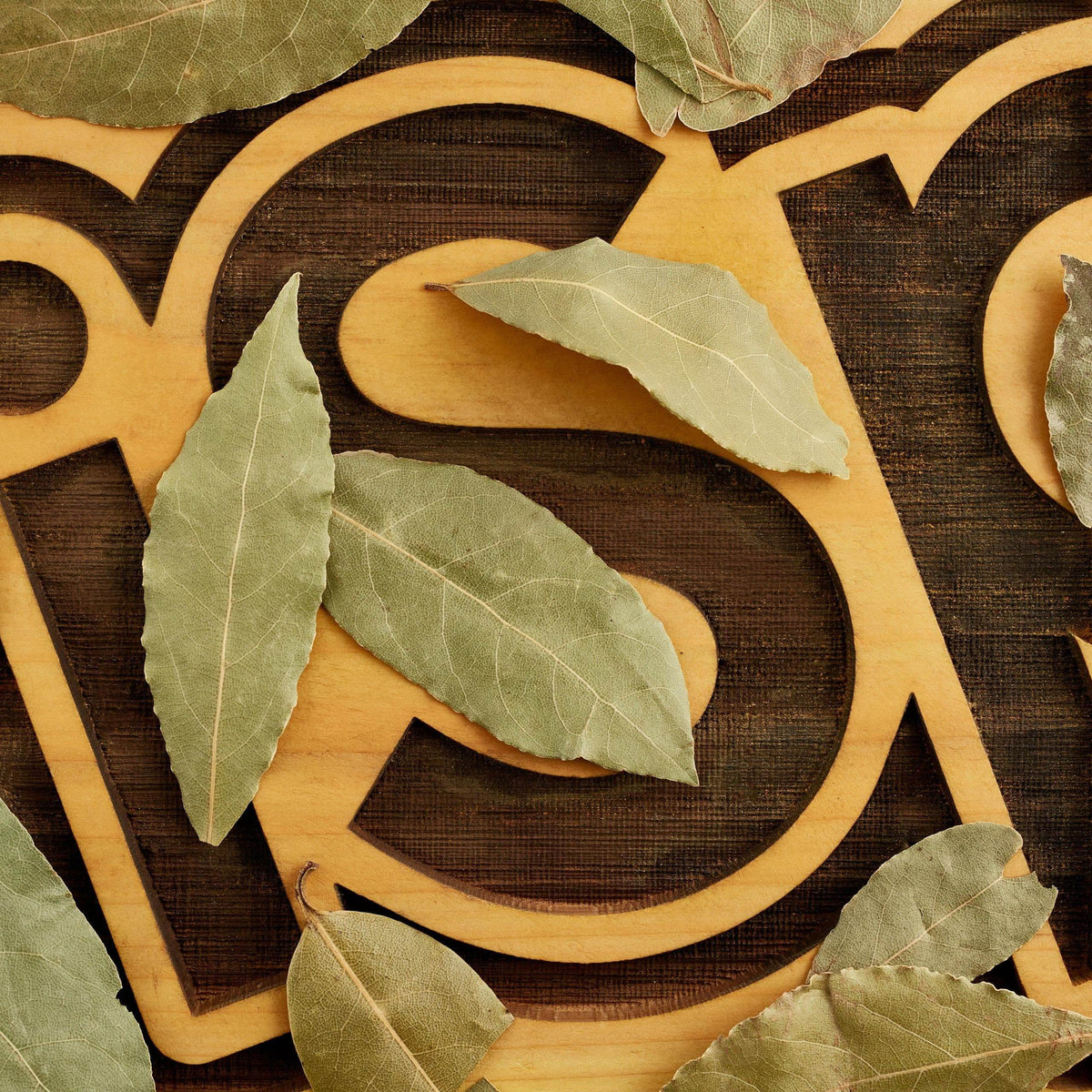 Bay Leaf: Unlock the Aromatic Secrets of Culinary Excellence