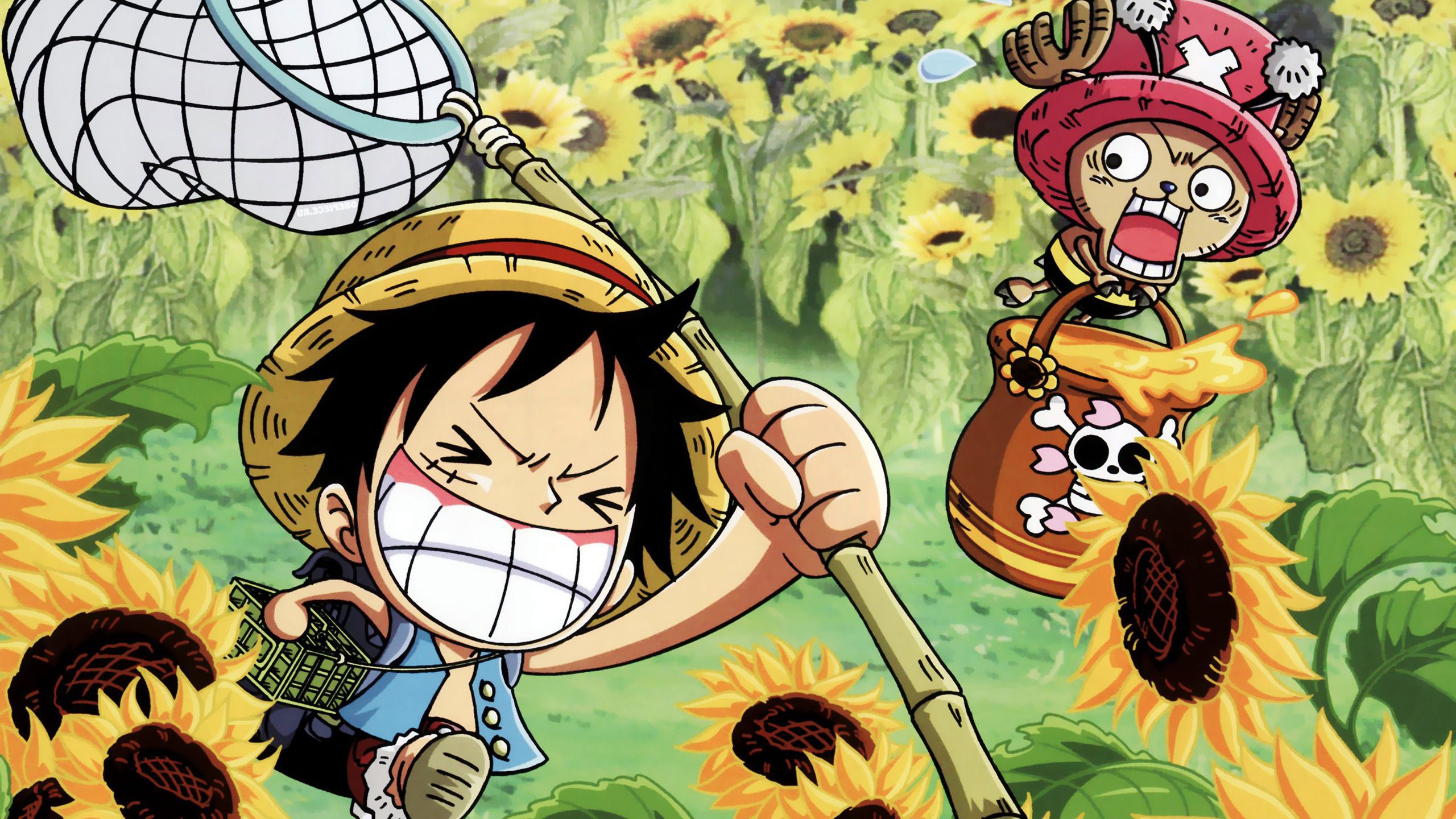 Tony Tony Chopper Monkey D. Luffy HD One Piece Wallpaper