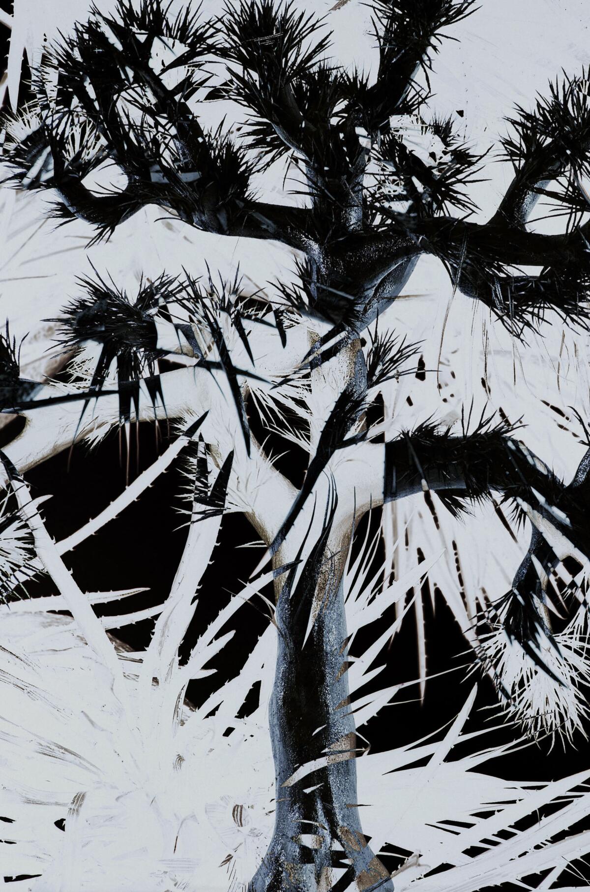 Plastic Tree (Limited Edition)