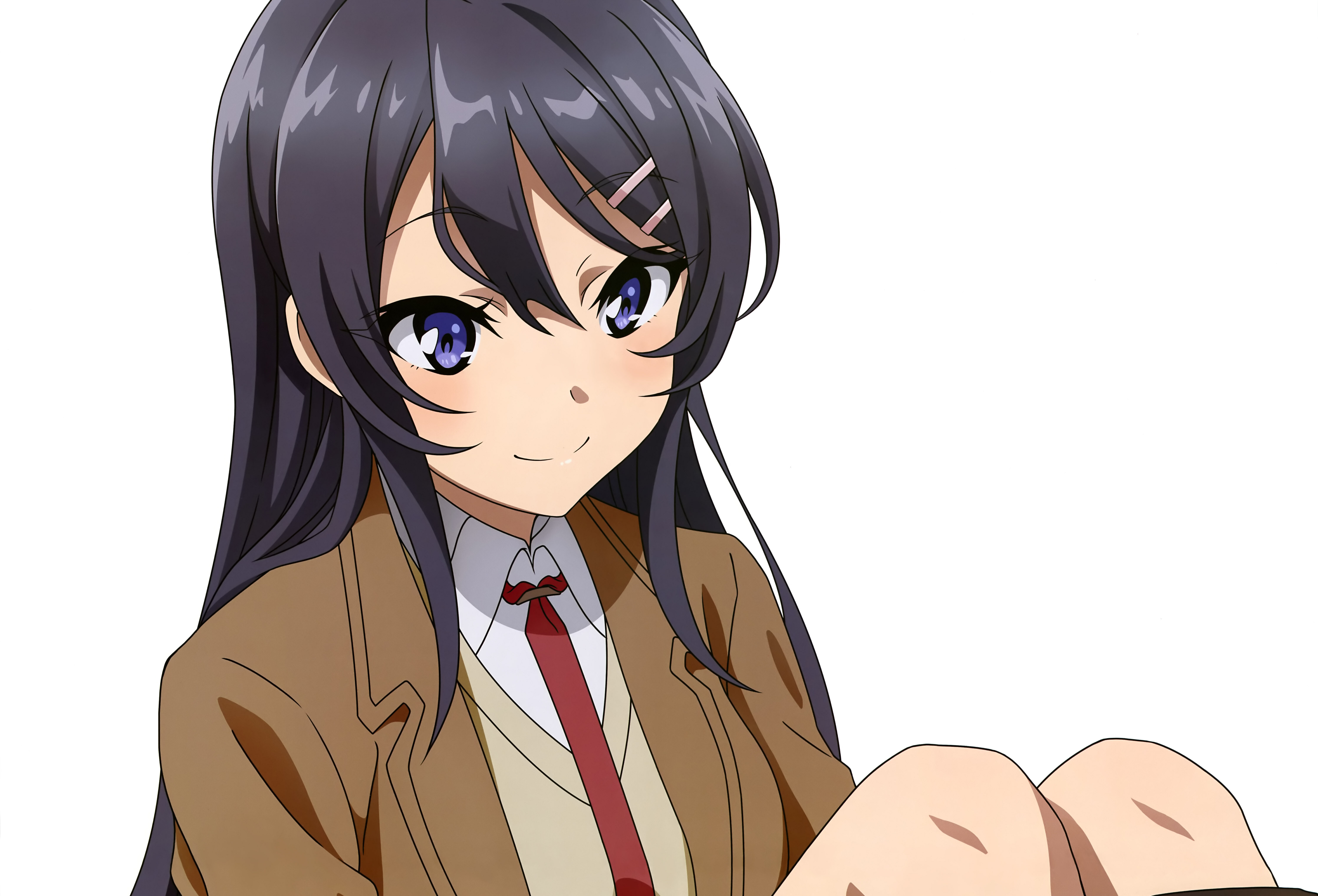 Download Mai Sakurajima Anime Rascal Does Not Dream Of Bunny Girl Senpai 4k Ultra HD Wallpaper