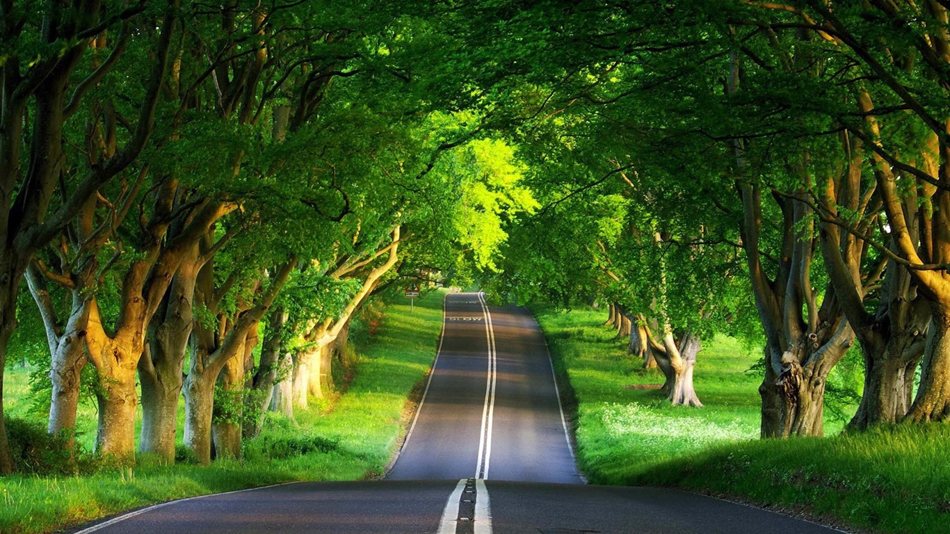 Road Summer Beautiful Natural Scenery Desktop Wallpaper
