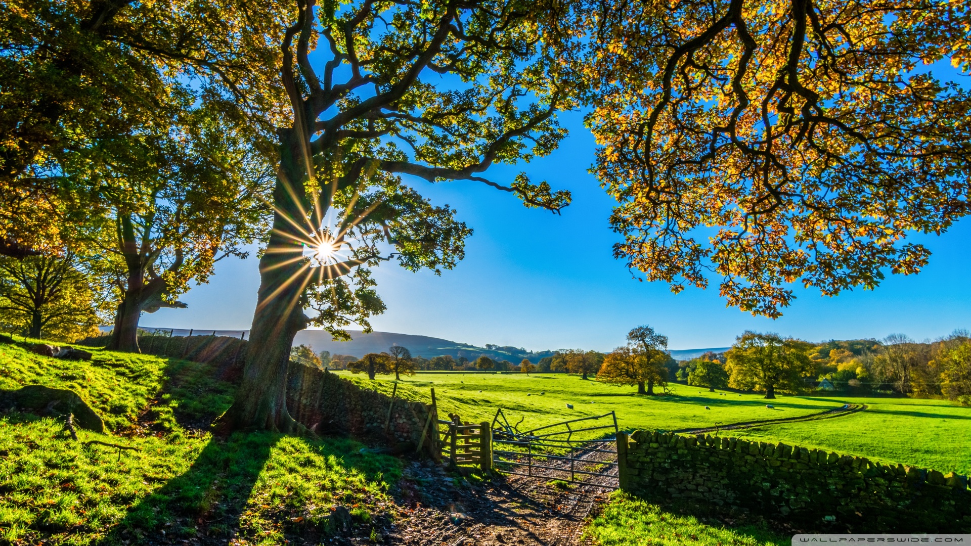 Beautiful Scenery Wallpaper Full HD Wallpaper HD Wallpaper & Background Download