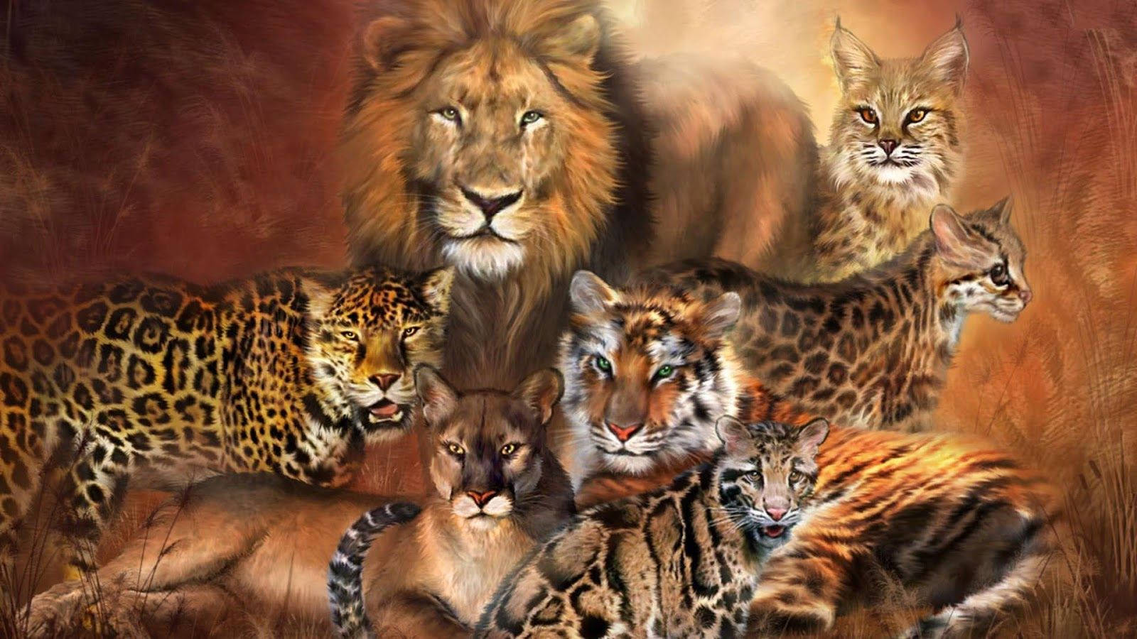 Download Lion And Tiger Variations Wallpaper