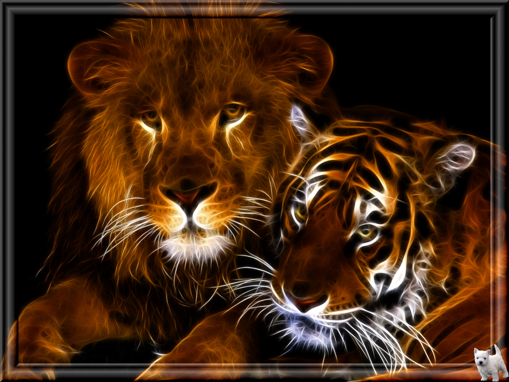 Lion and Tiger