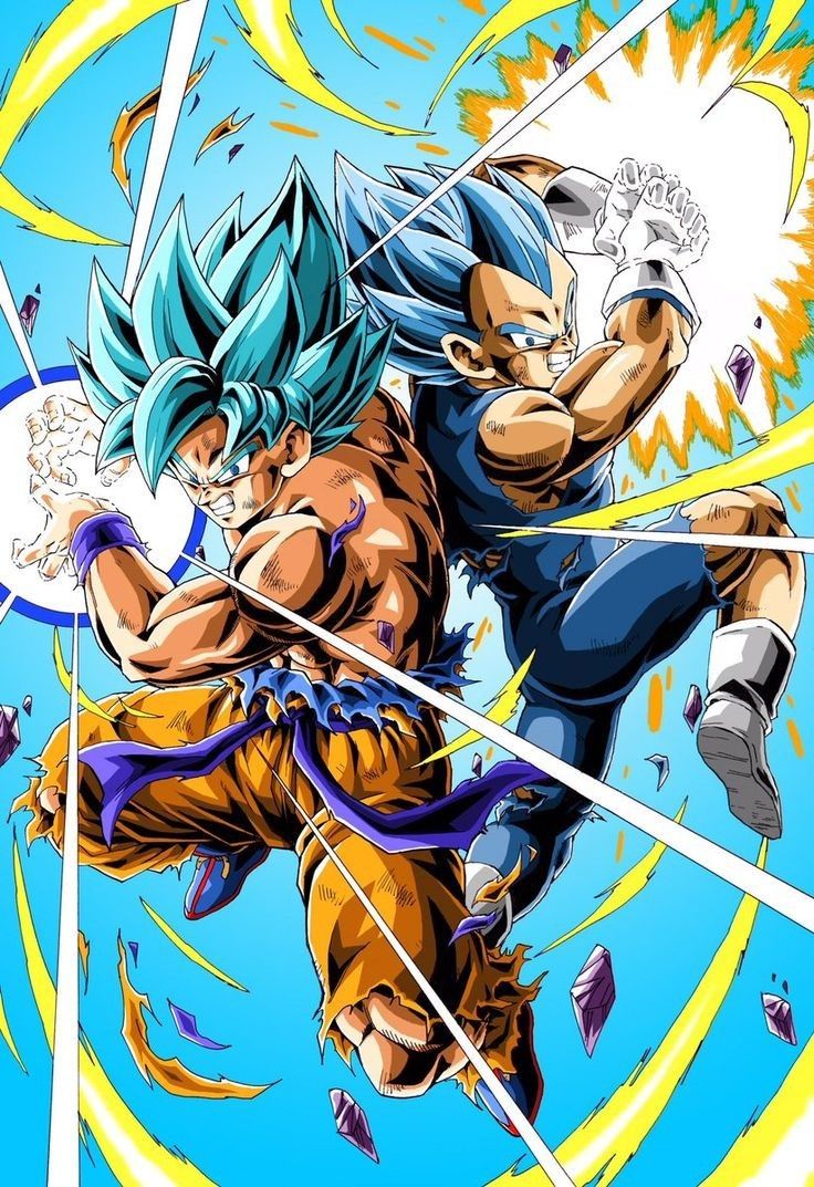 DBZ super Goku and Vegeta ask God blue