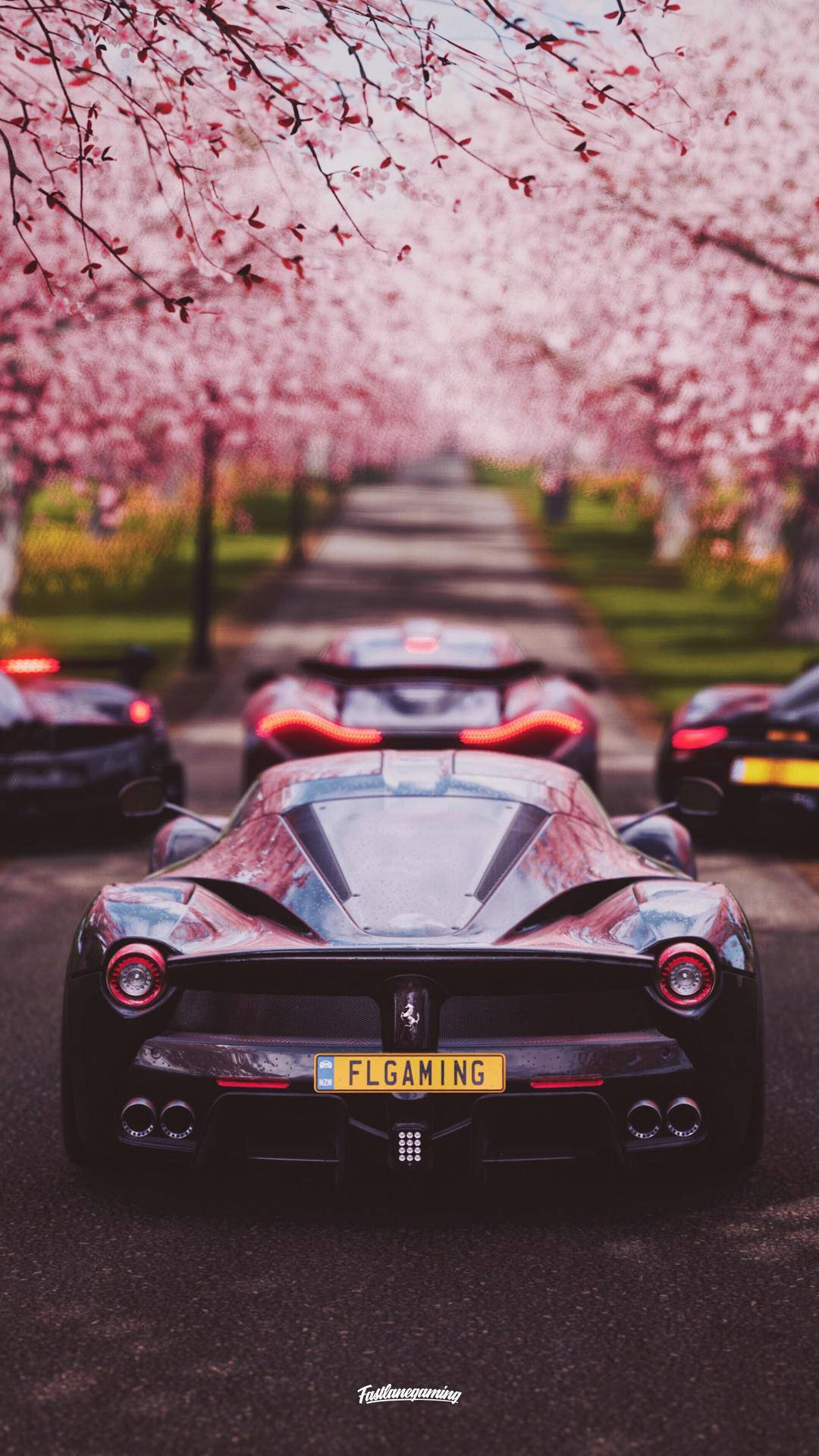 Download Forza Cherry Blossoms iPhone Wallpaper