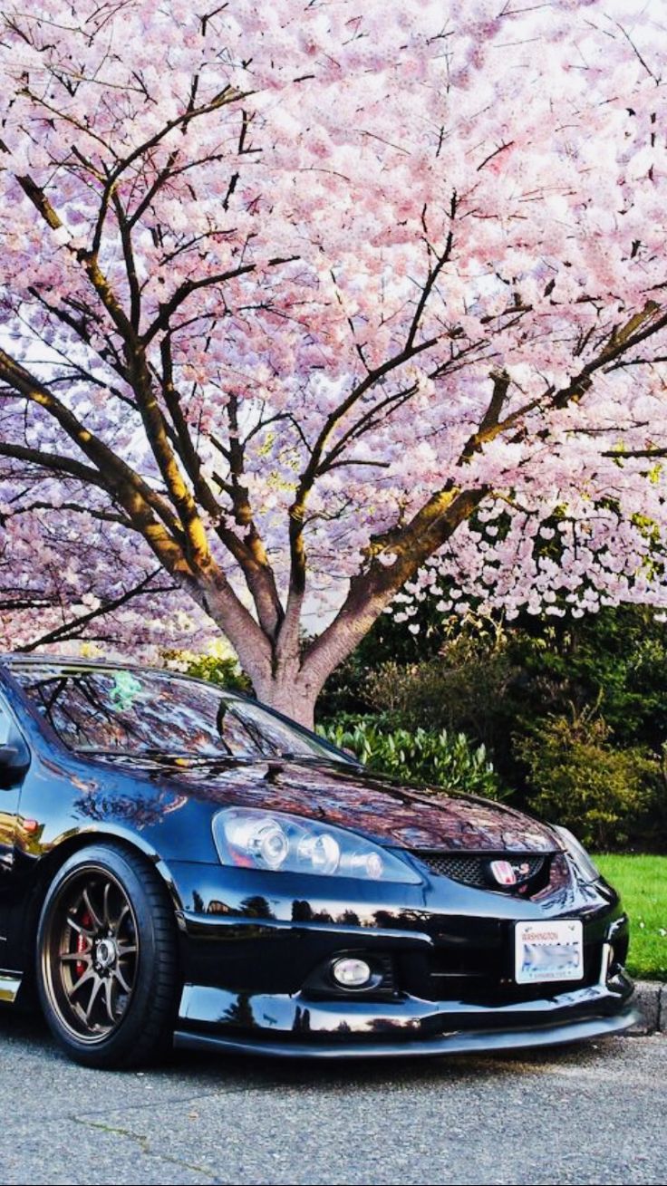 Black Car Parked in Front of Tree with Pink Flowers
