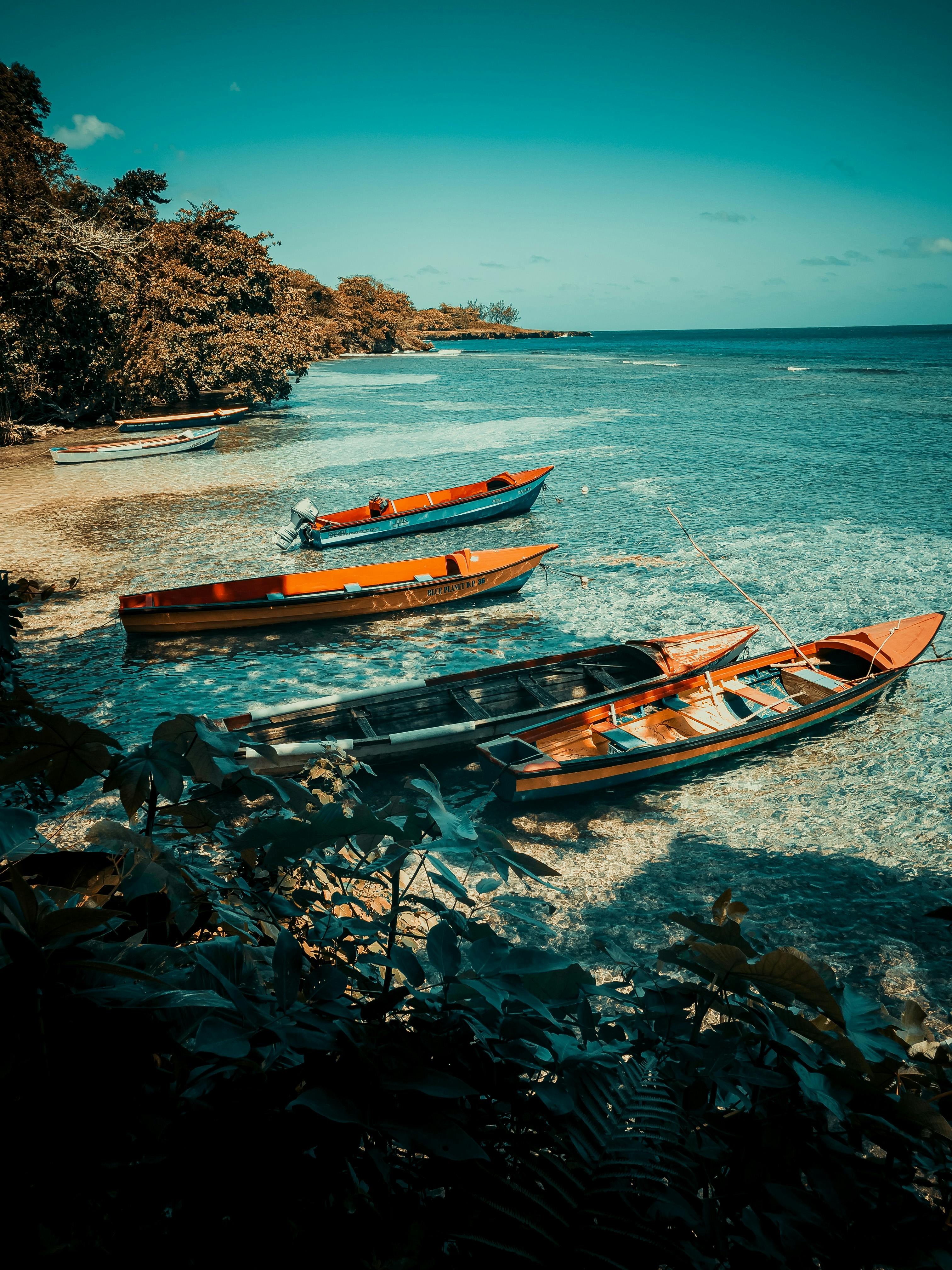 Jamaica Beach Photo, Download The BEST Free Jamaica Beach & HD Image