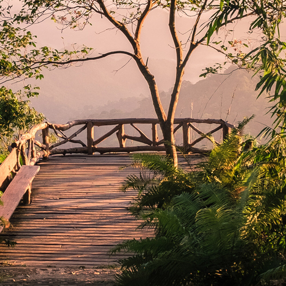 Evening Nature View, Embossed Deer, Cycling Art, wallpaper in jalandhar, wallpaper shop in jalandhar, flex wallpaper in jalandhar, 3D wallpaper shop in jalandhar, Top Nonwoven Wall Paper Dealers in Jalandhar, mdf cutting