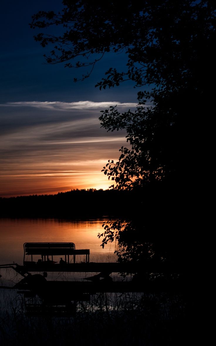 Wallpaper night tree sky sunset evening