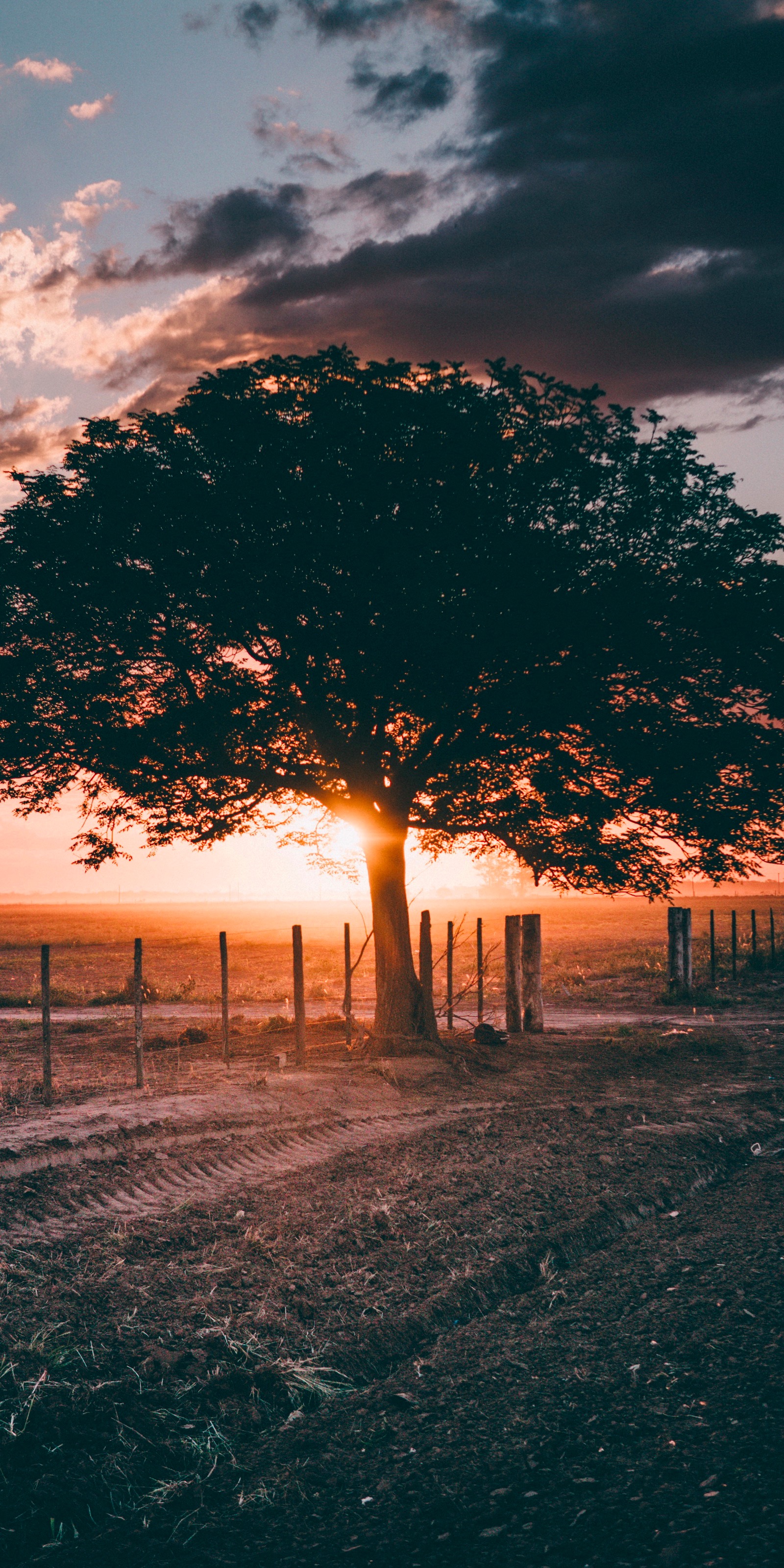 Wallpaper Fall Evening, Evening, Cloud, Atmosphere, Ecoregion, Background Free Image