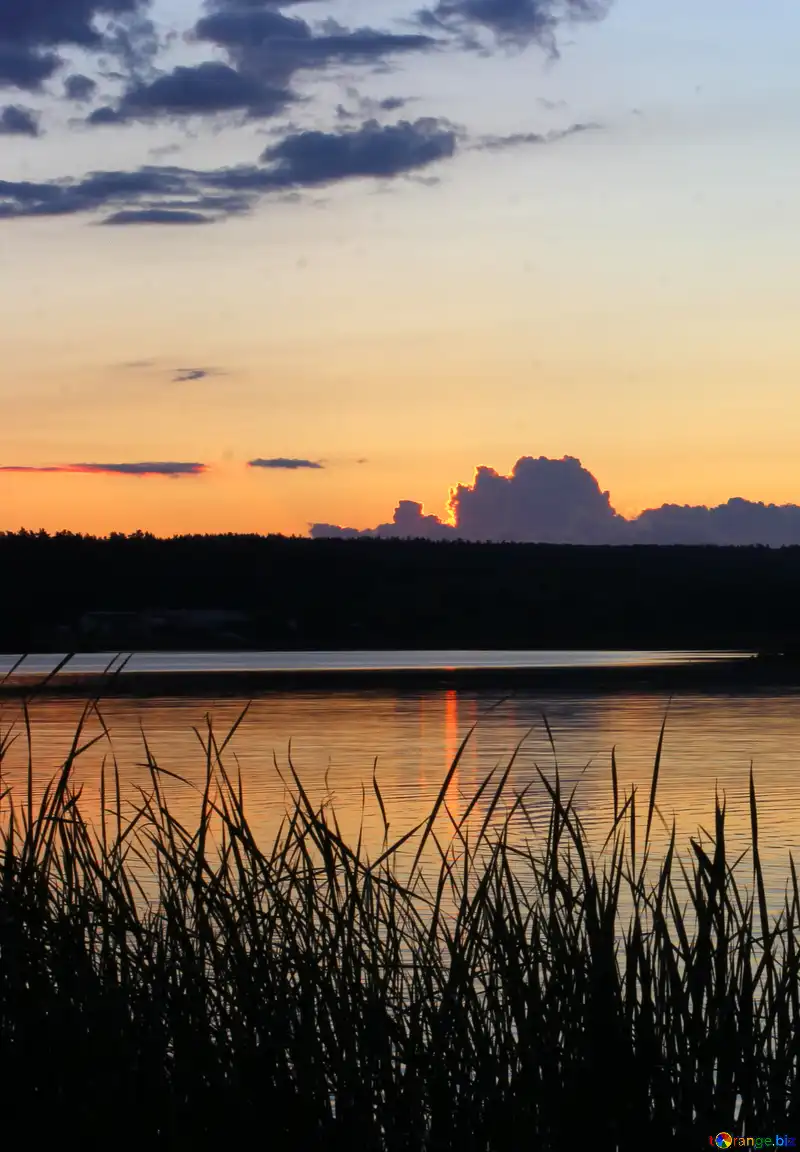 Evening nature free image - № 36468