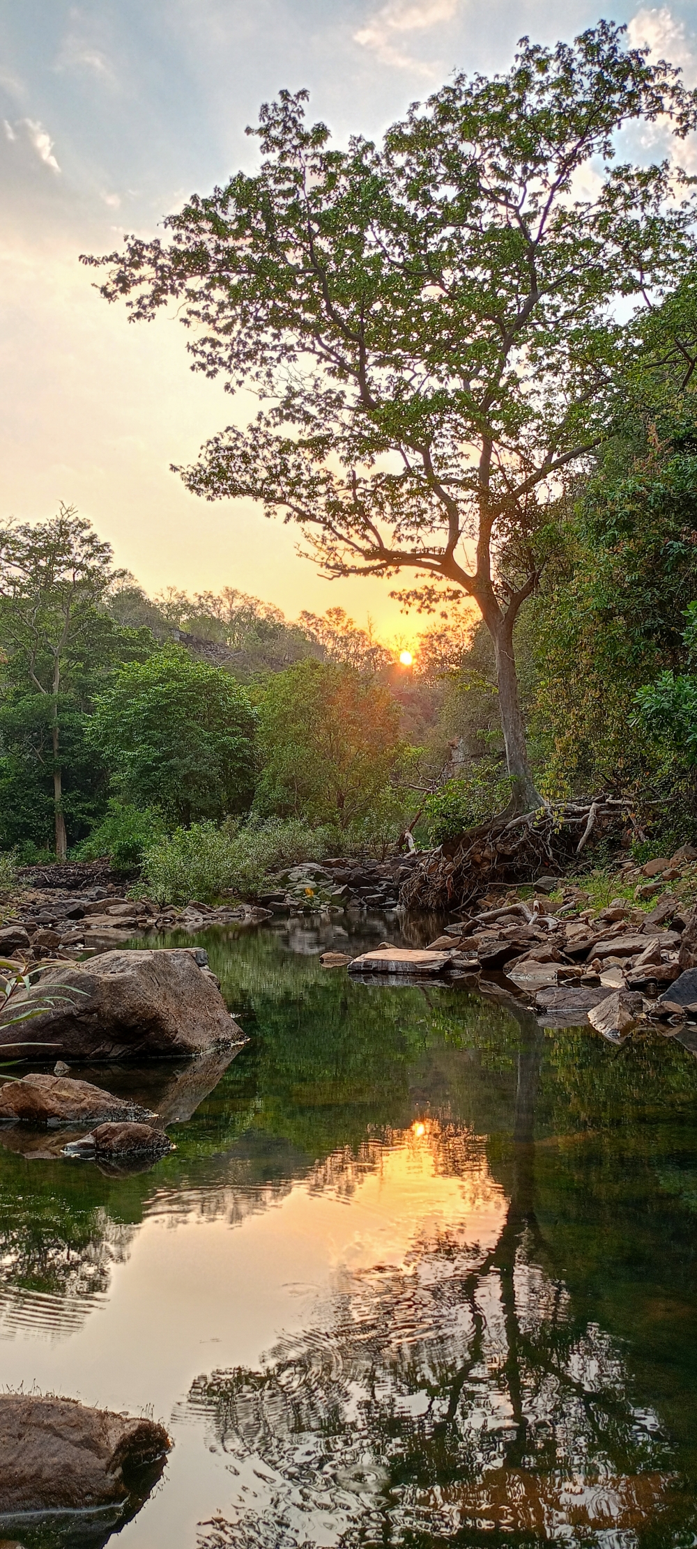 sun rays in the evening Photo Free Download. Free Photo for Commercial Use