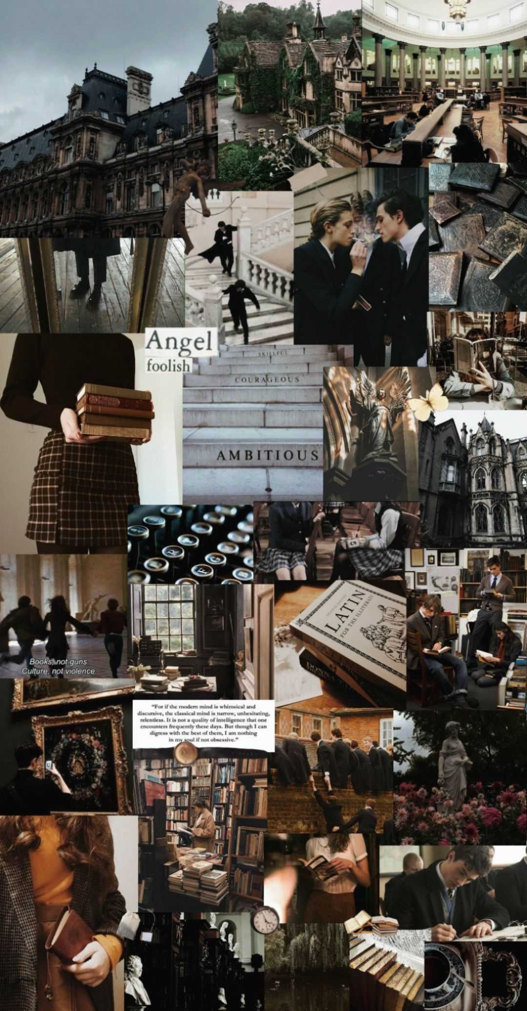 Dark Academia Wallpaper, HD Dark Academia Background on WallpaperBat