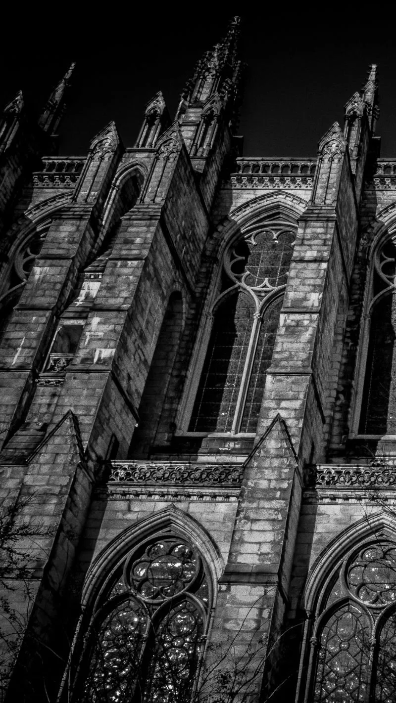 Dark Academia iPhone Wallpaper! (All Free)