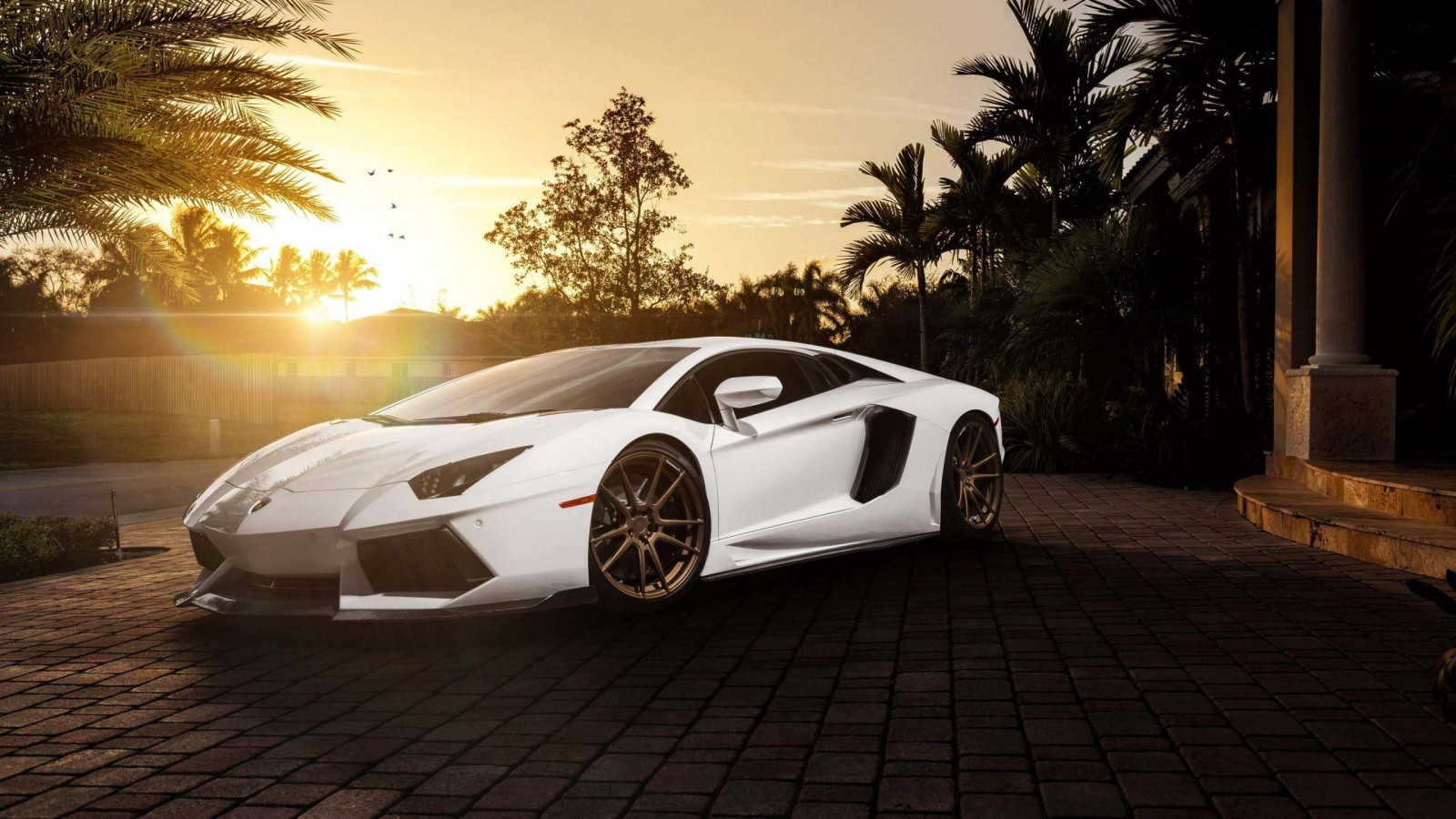 White Lamborghini Aventador Car HD Lamborghini Wallpaper