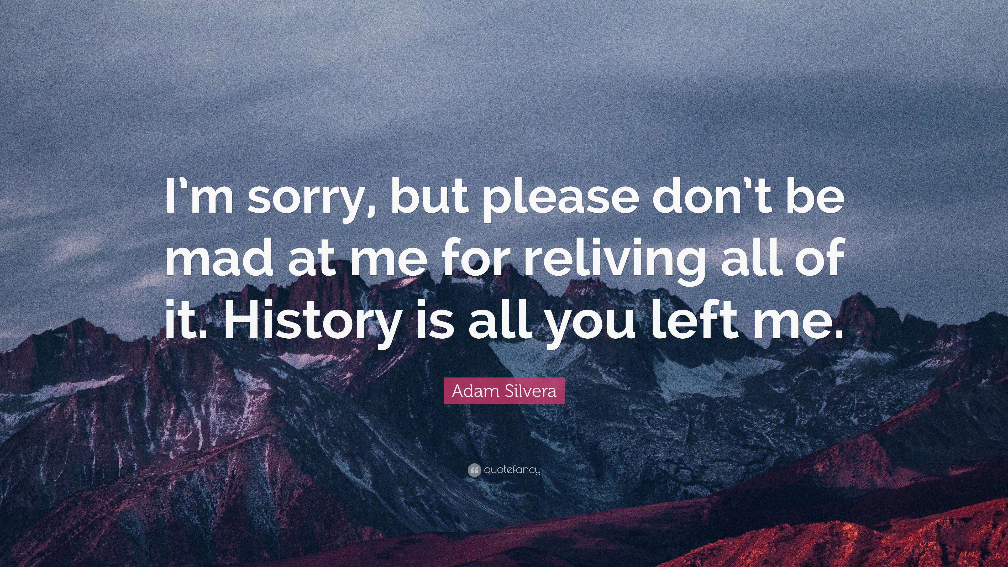 Adam Silvera Quote: “I'm sorry, but please don't be mad at me for reliving