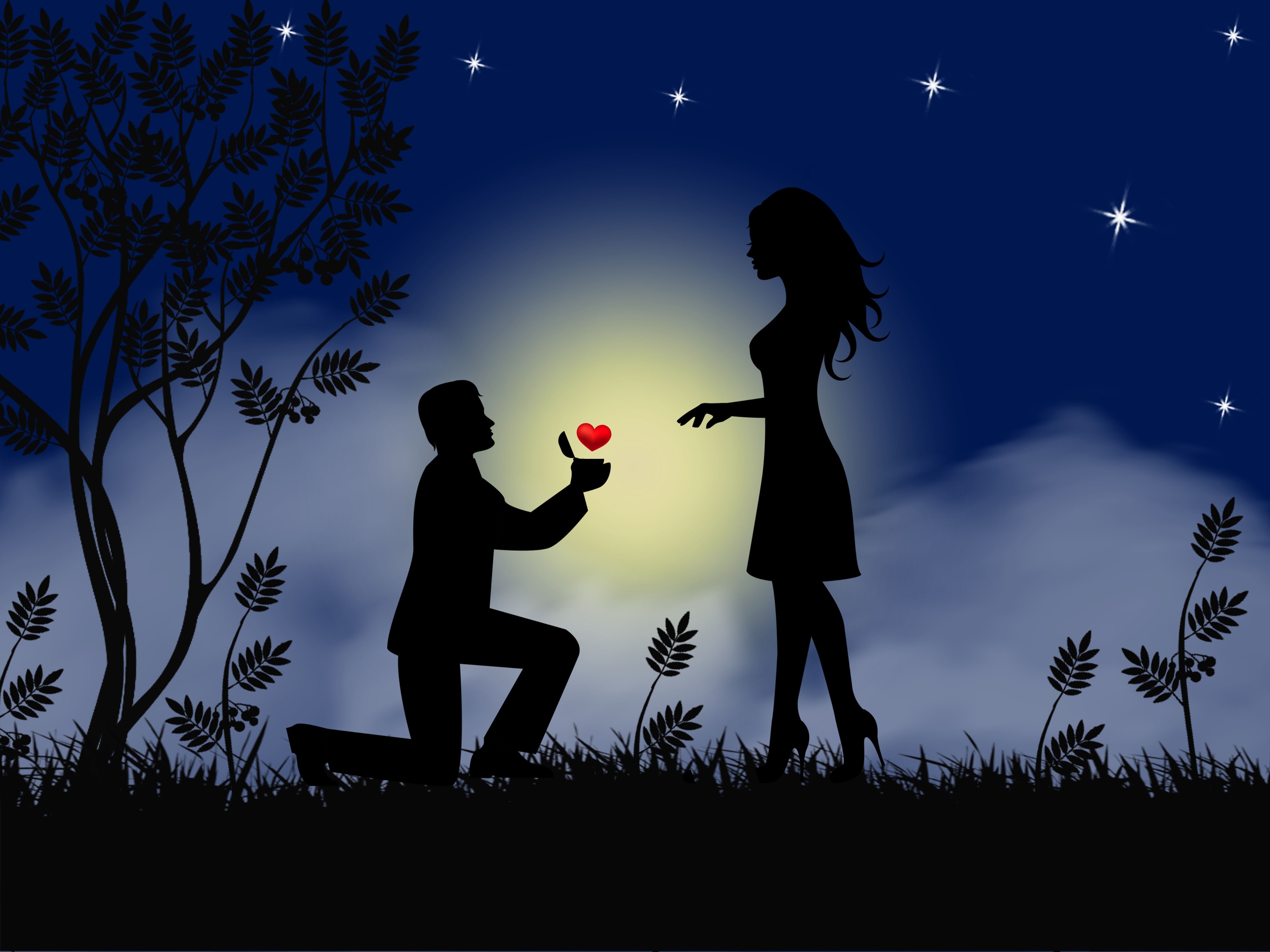 Free Image, love, lovers, heart, together, feeling, night, sky, silhouette, emotion, darkness, friendship, romance, computer wallpaper, tree, fun, happiness, midnight, grass, art, shadow 4000x3000 Cipriano