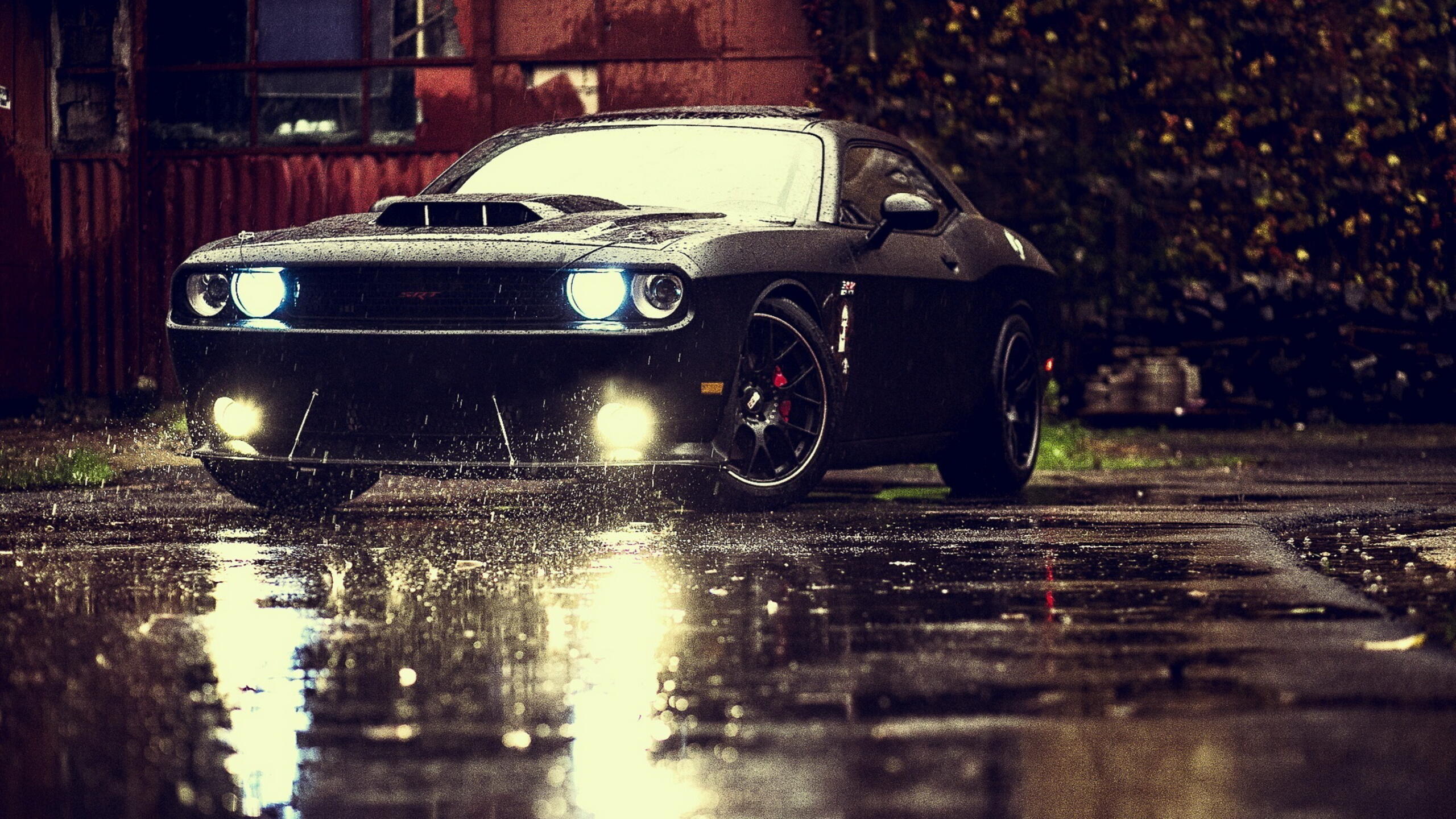 Wallpaper with brutal Dodge Challenger in rainy weather · 2560x1440 QHD & WQHD (16:9) free photo from arashilkis and wallpaper