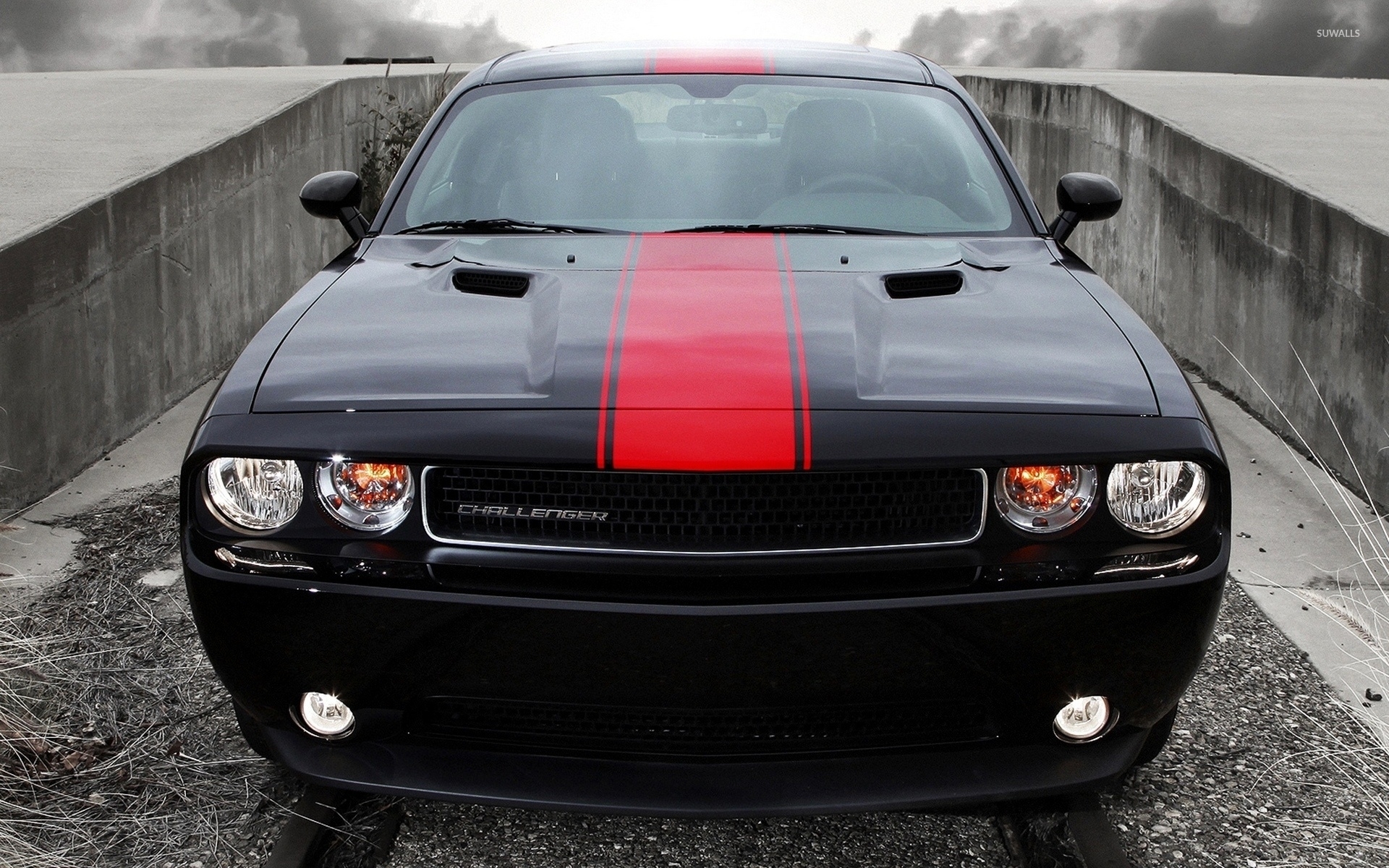Black Dodge Challenger front view wallpaper wallpaper