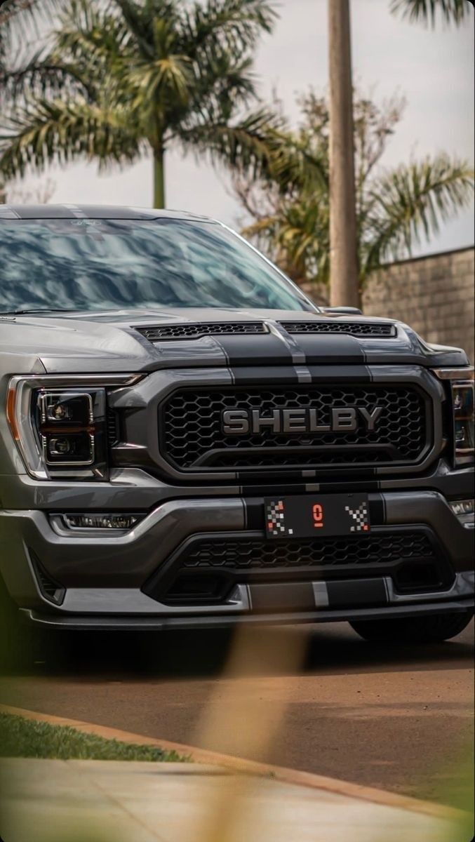 F 150 Shelby ✖️